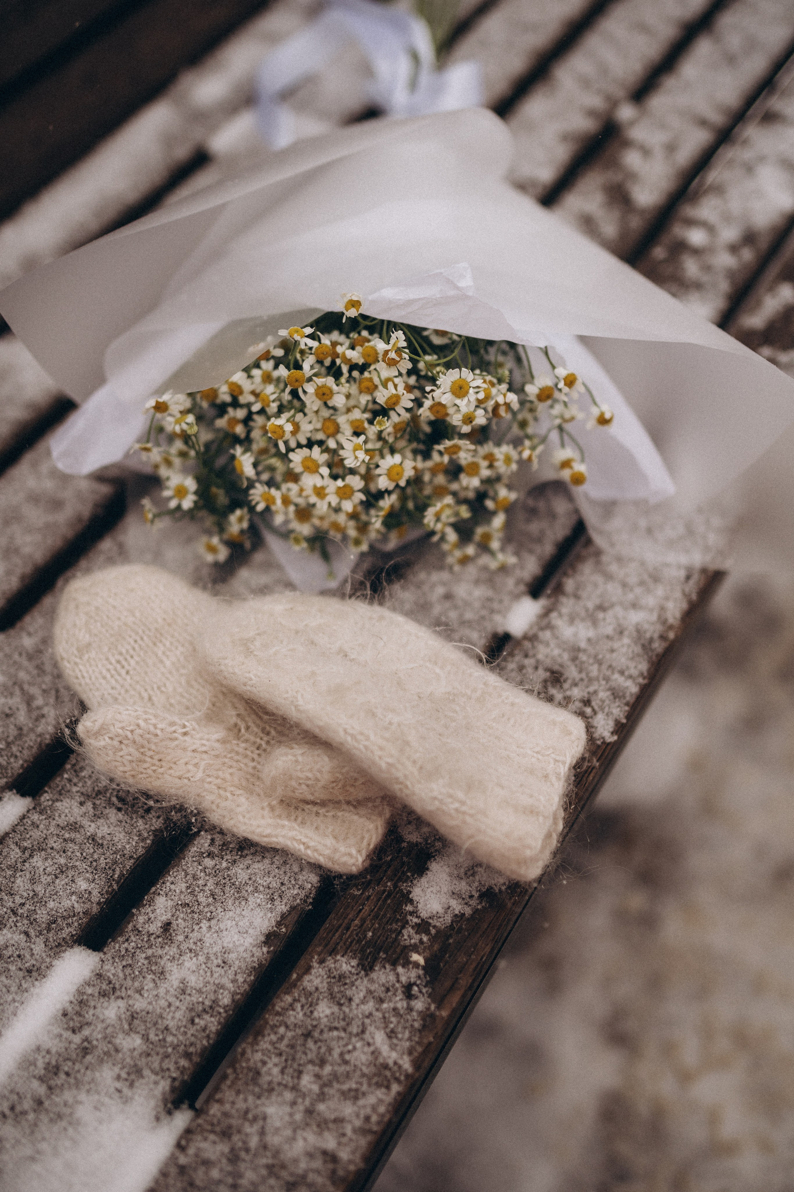 Настя. Фотограф Екатерина Катунова | Москва