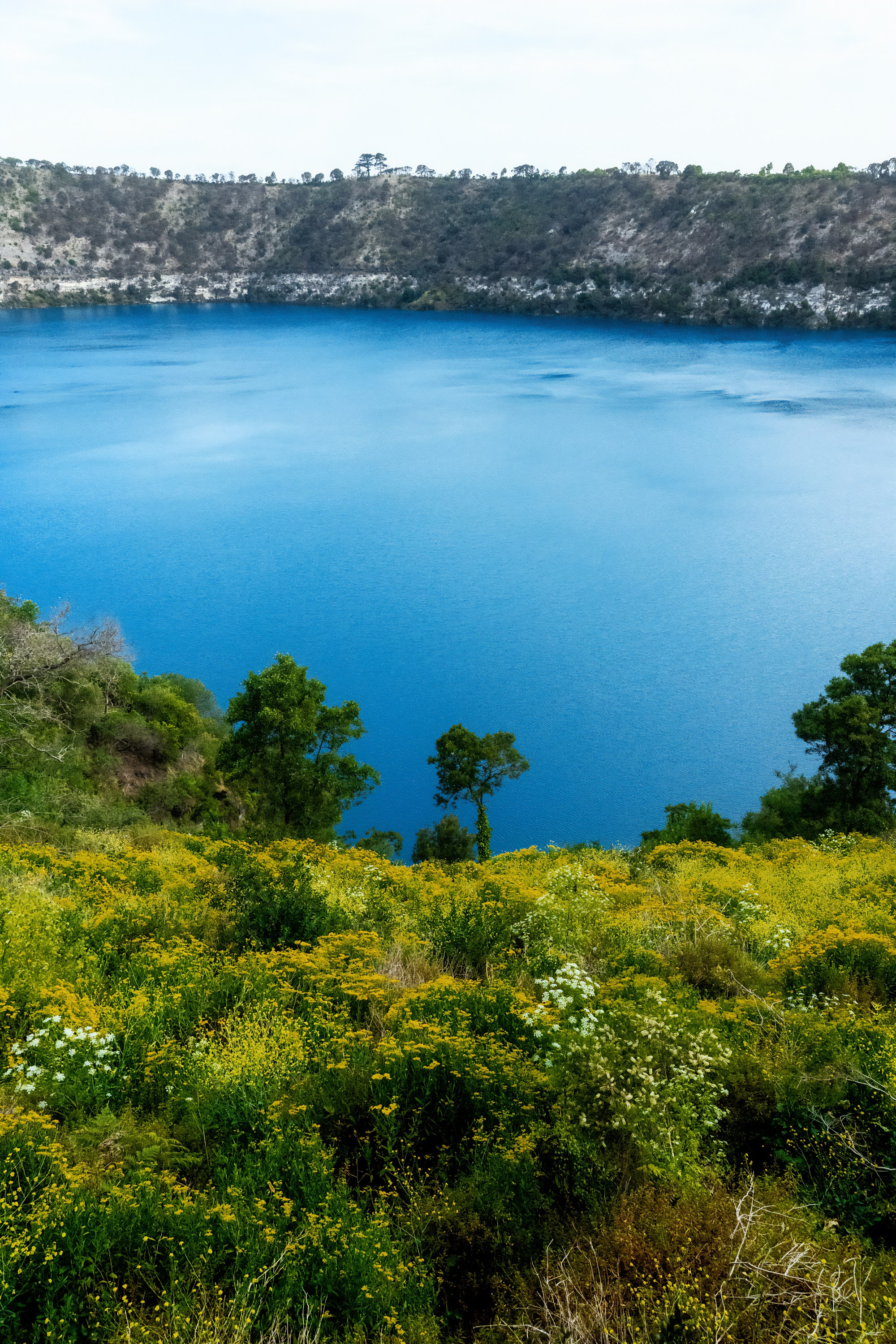 Австралия. Фотограф в Хабаровске. Фотография за 24 часа