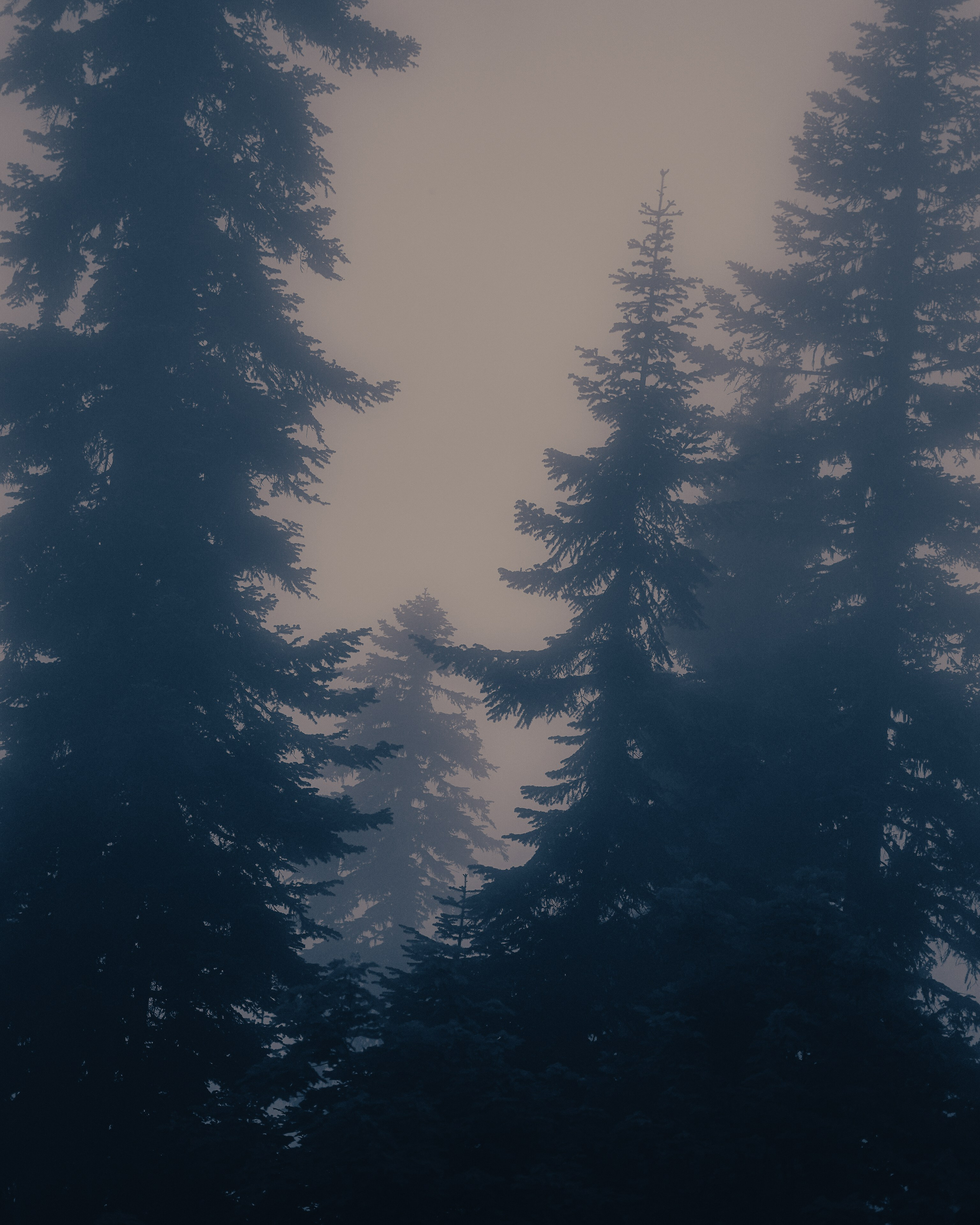 ГОМИС МТА. Photographer Barcelona