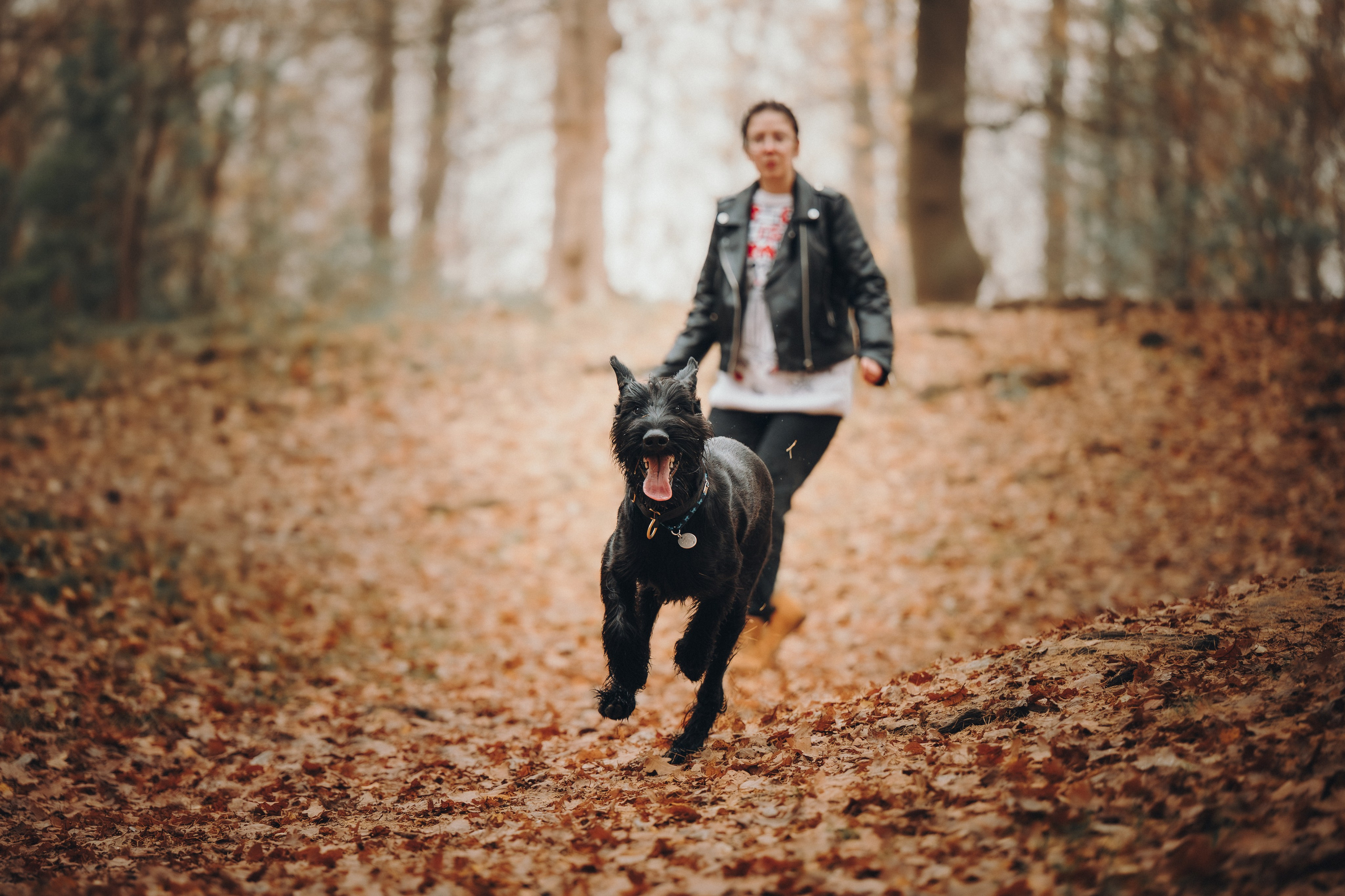 Даша и Умбра. Семейный фотограф анималист Ананьева Мария — Москва