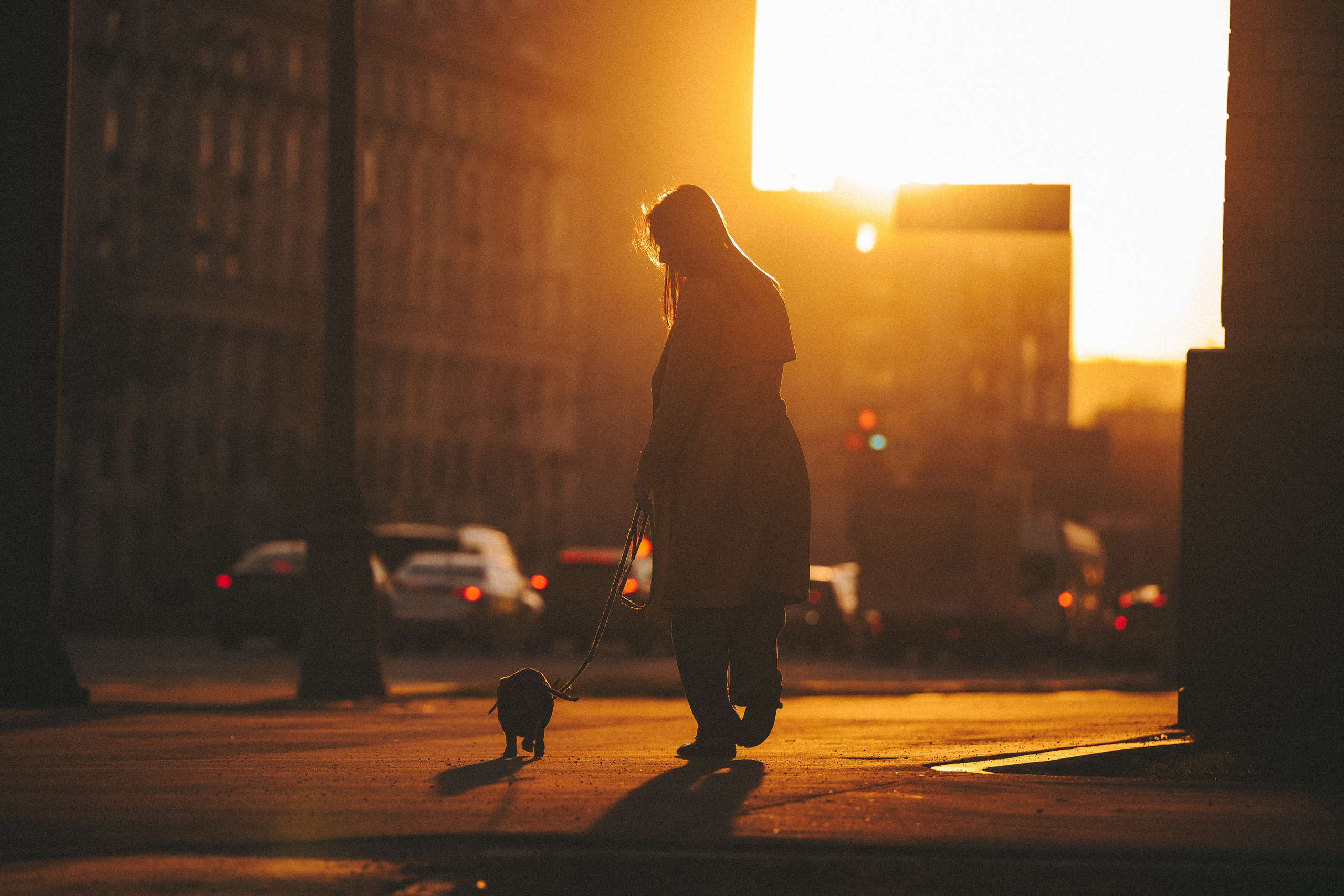 Аня и Оскар. Семейный фотограф анималист Ананьева Мария — Москва