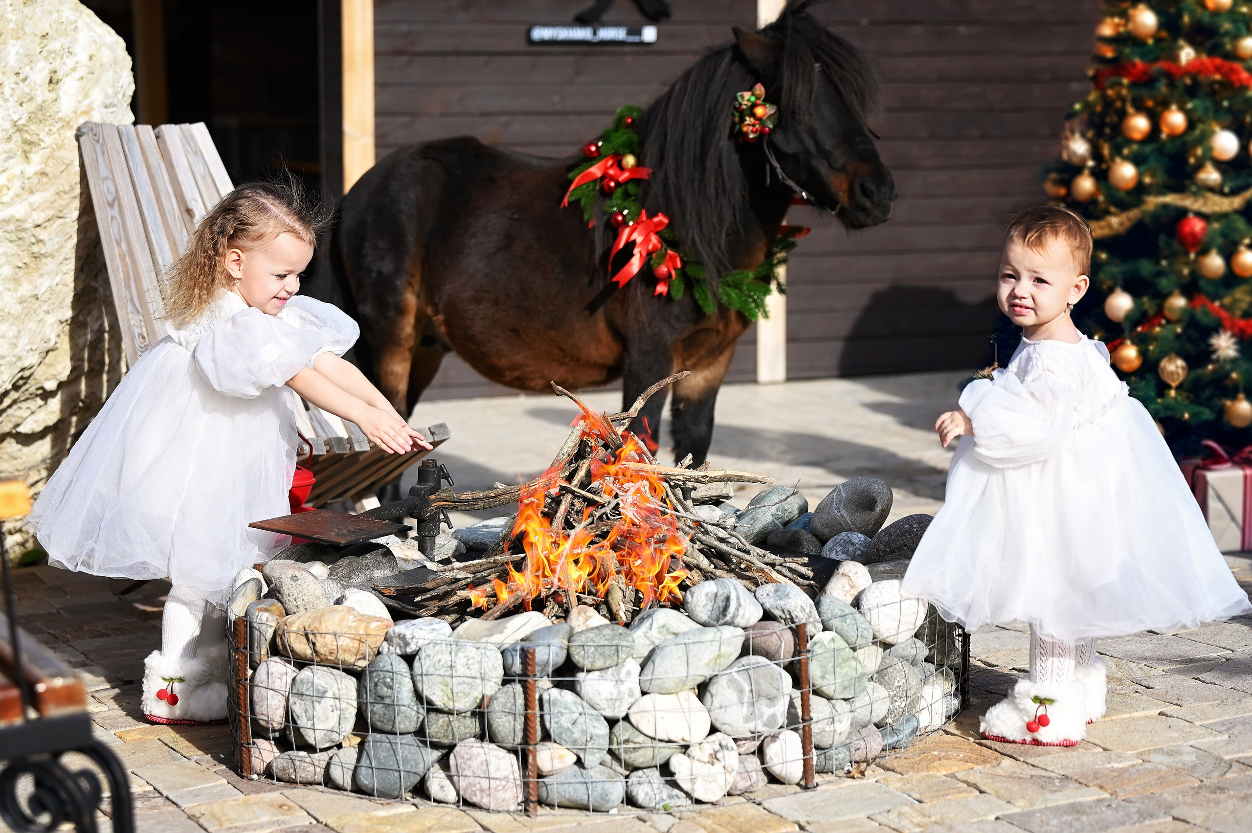 Лошади. Главная