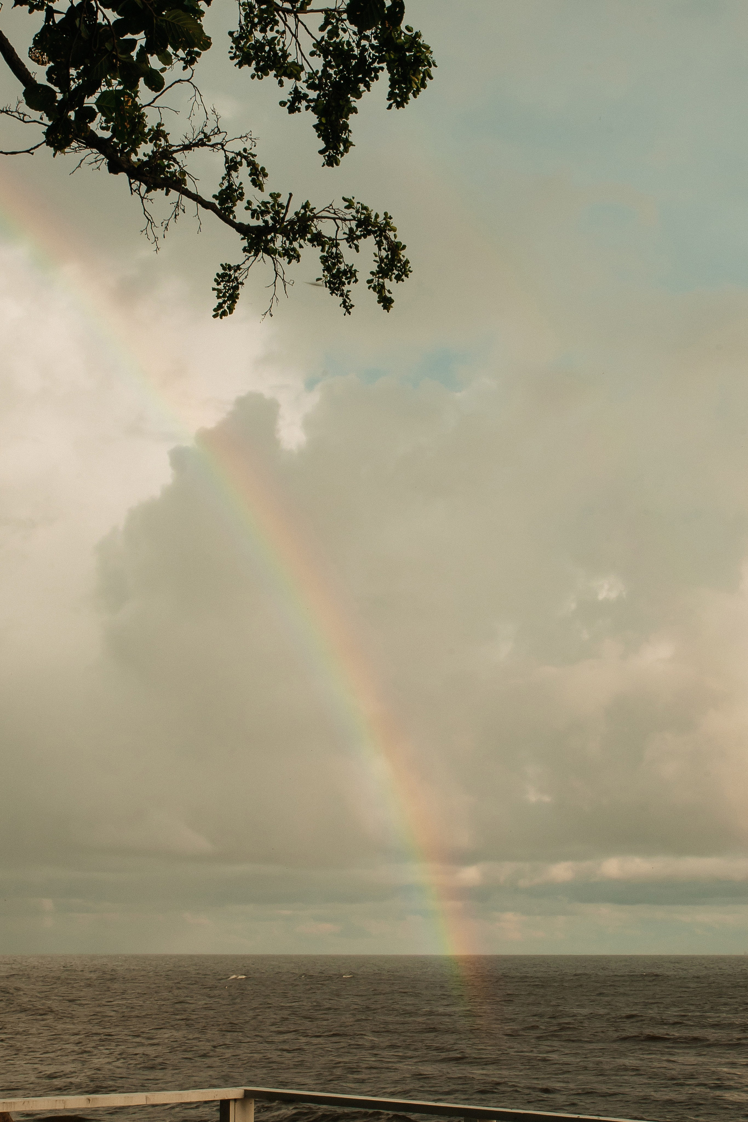 ANONS. Мария — Свадебный фотограф