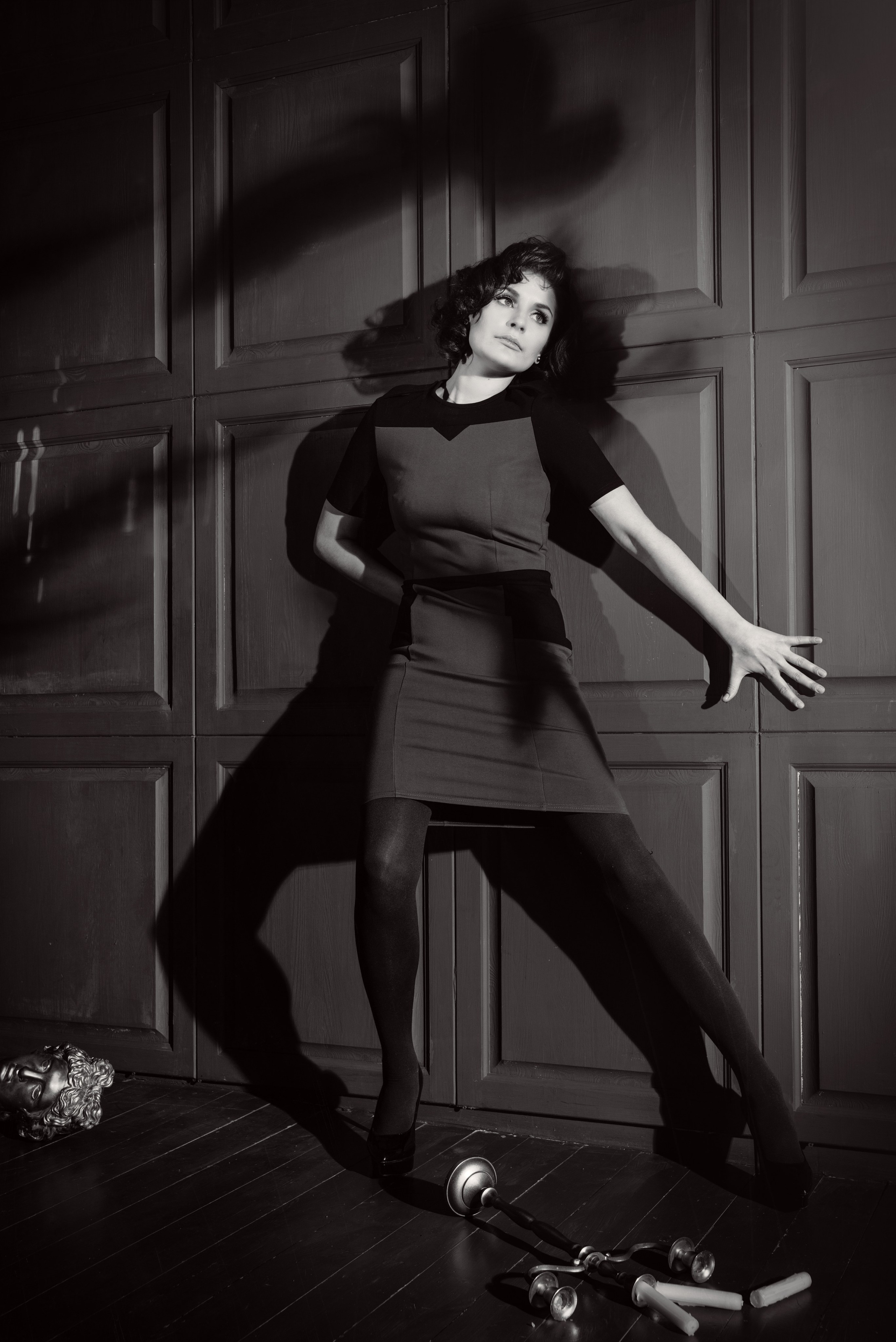 Идея для фотосессии - фильм Альфреда Хичкока Птицы с тенями в виде птиц на стене