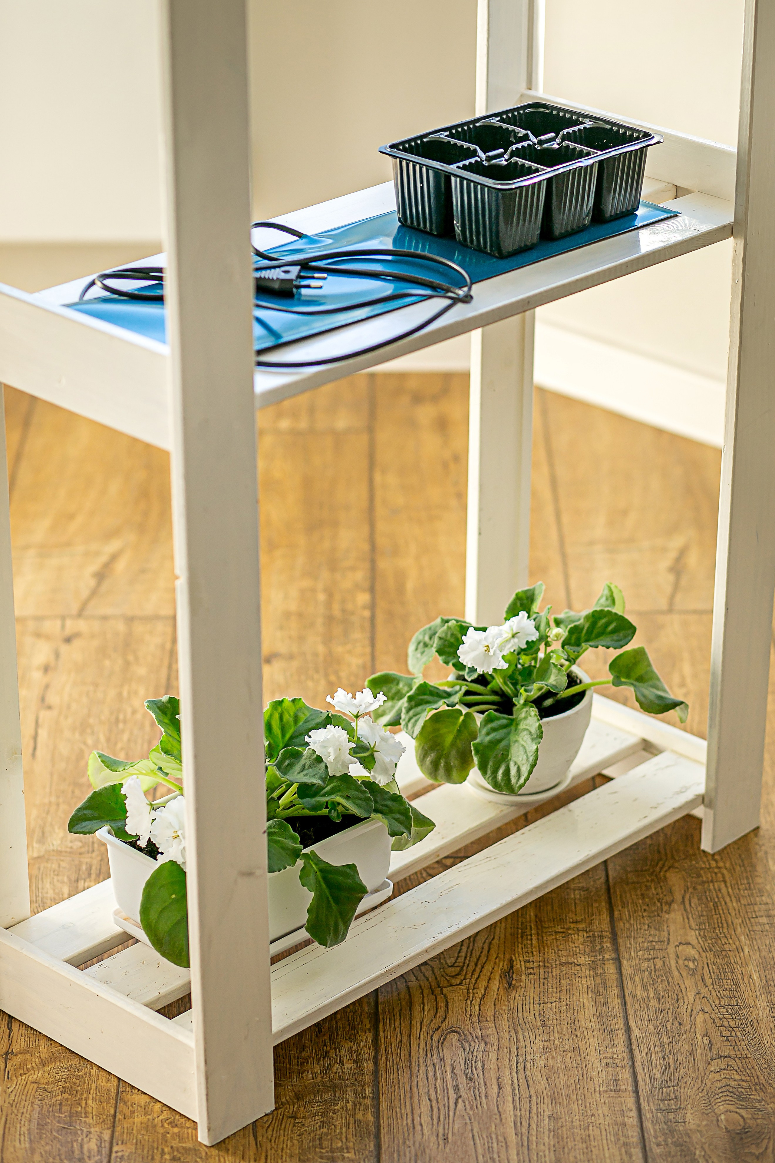 Компания по производству изделий для домашнего электрообогрева. Коврик с подогревом и йогуртница