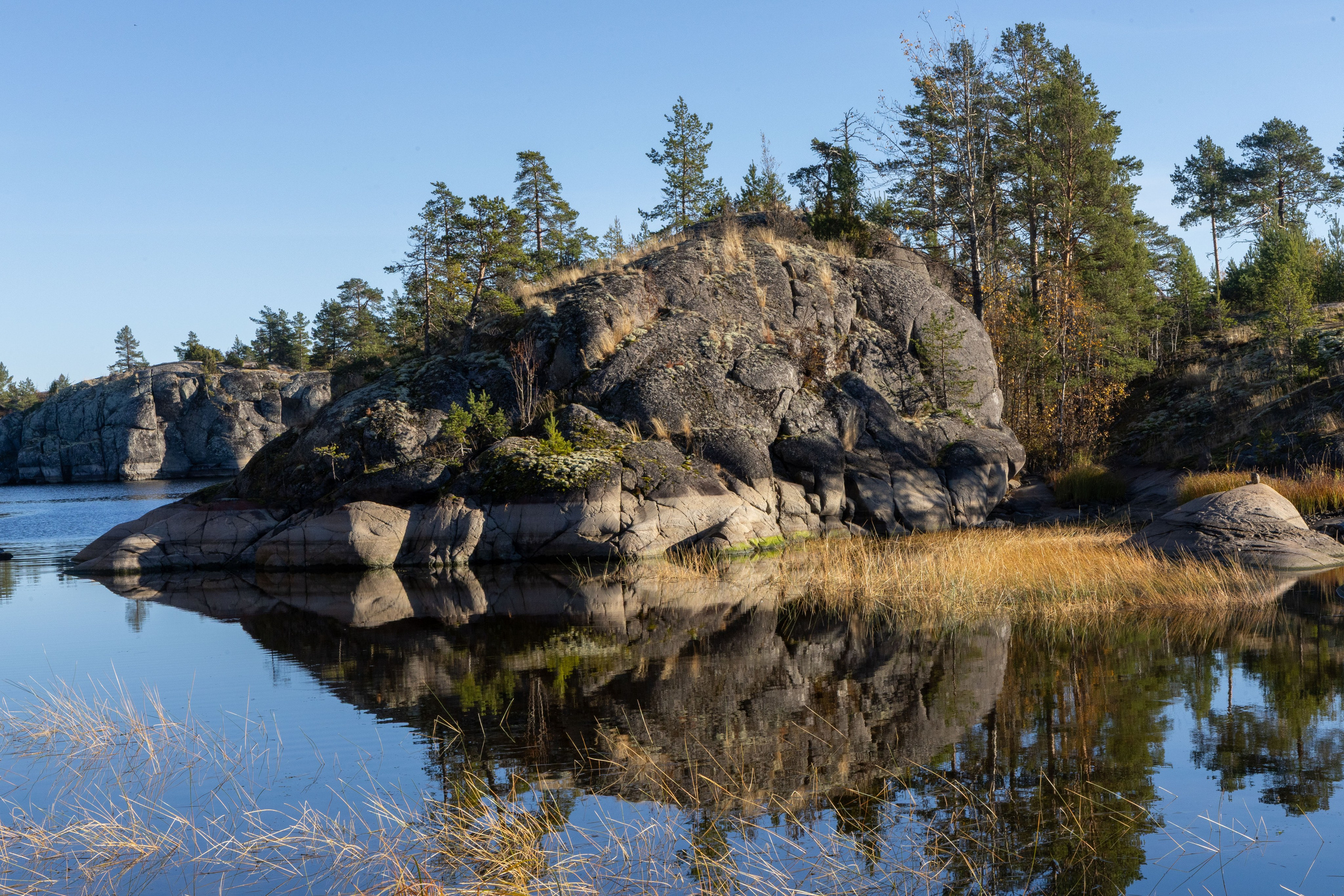 Природа Карелии октябрь 2025. Портретный и семейный фотограф Санкт-Петербург