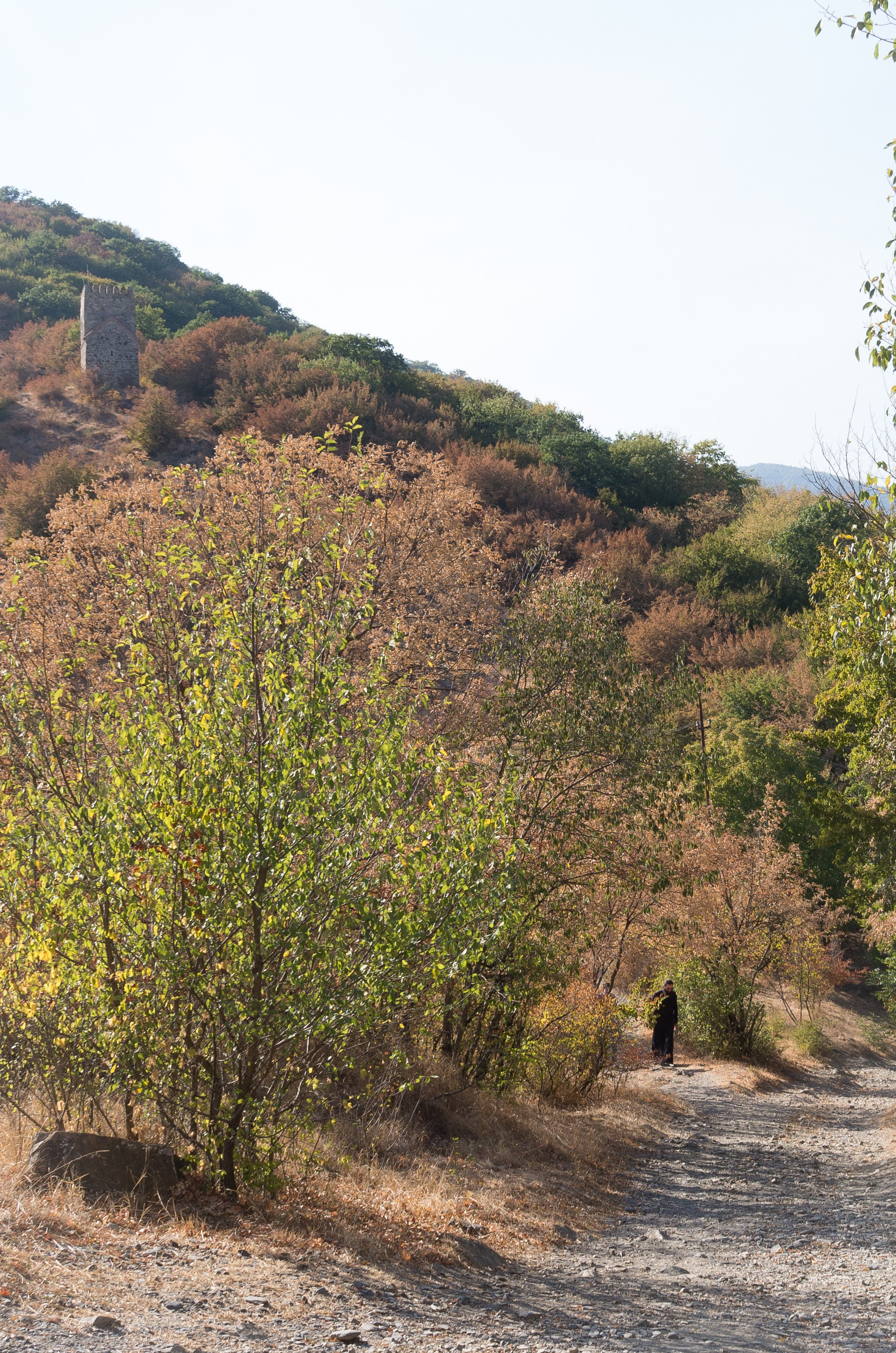 Фотографии из Грузии для интерьеров. Фотографии Руслана Сайдалиева (Рус Сай)