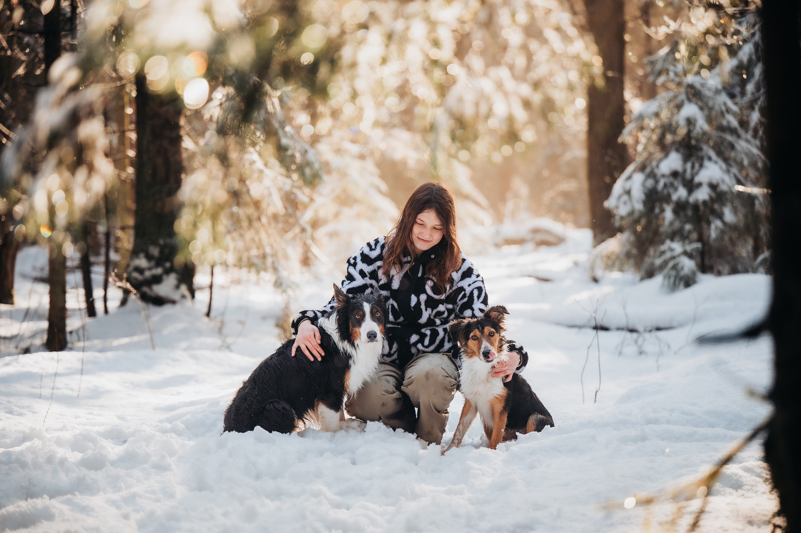 Саша, Эсприт и Флик. Семейный фотограф анималист Ананьева Мария — Москва