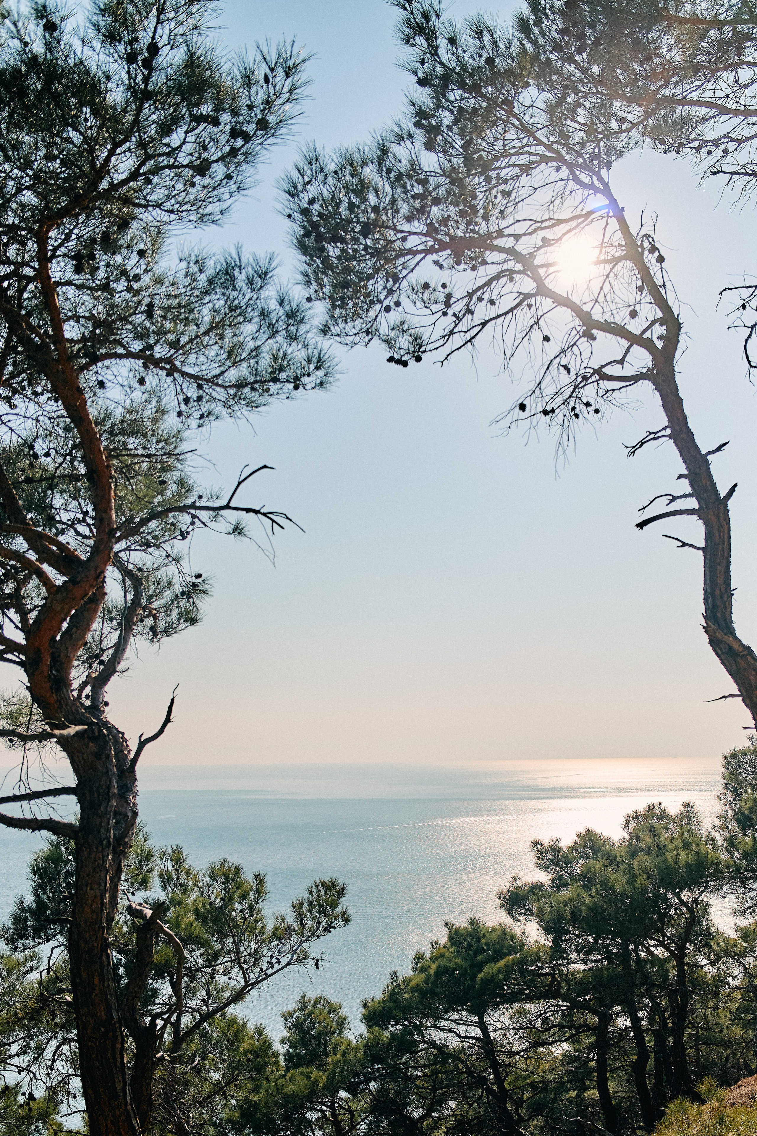 Юг России. Профессиональный Фотограф во Владимире, в Москве и в Суздале — Полина Романычева