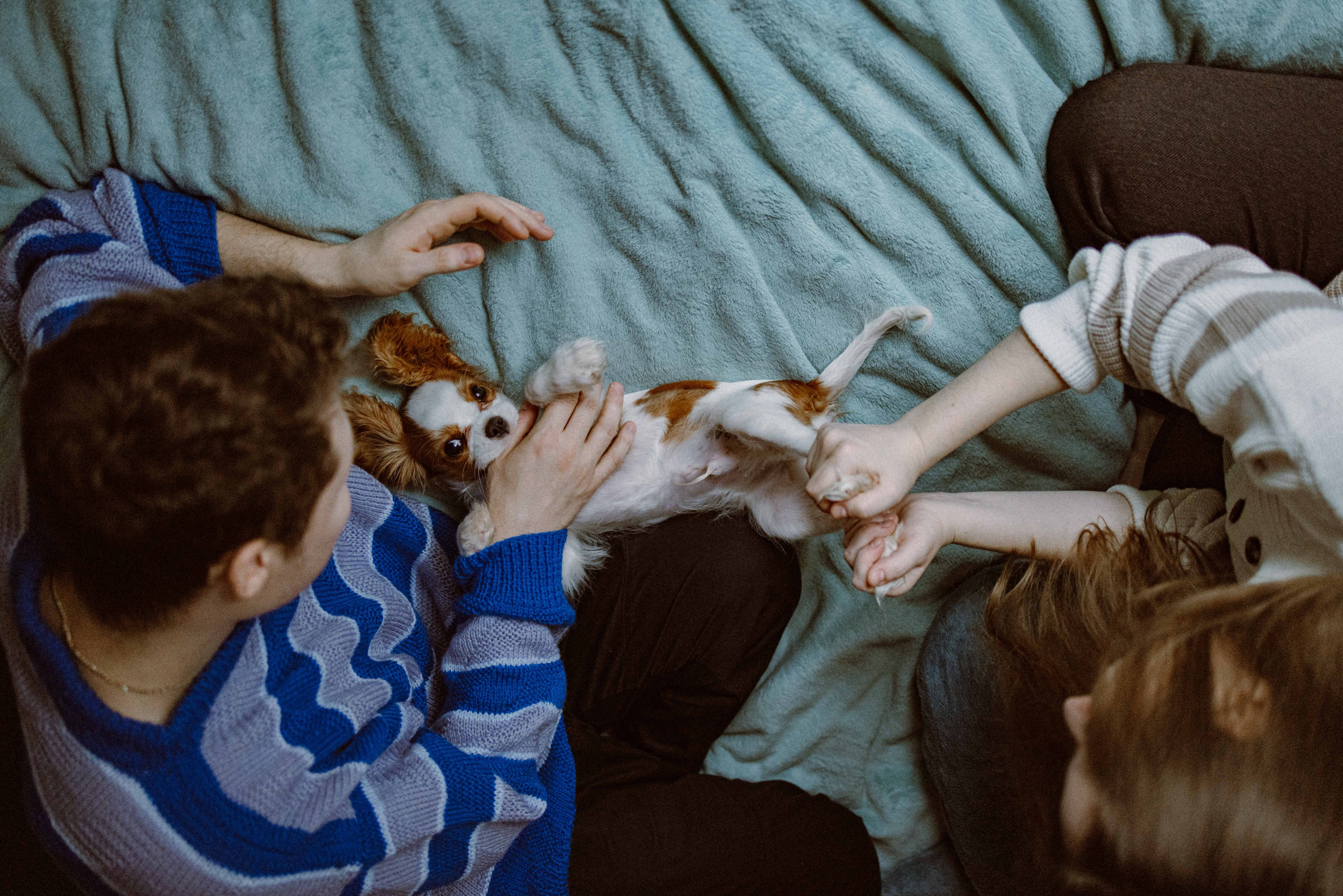 Юля и Кипр. Фотограф-анималист в Москве Лера Черноног