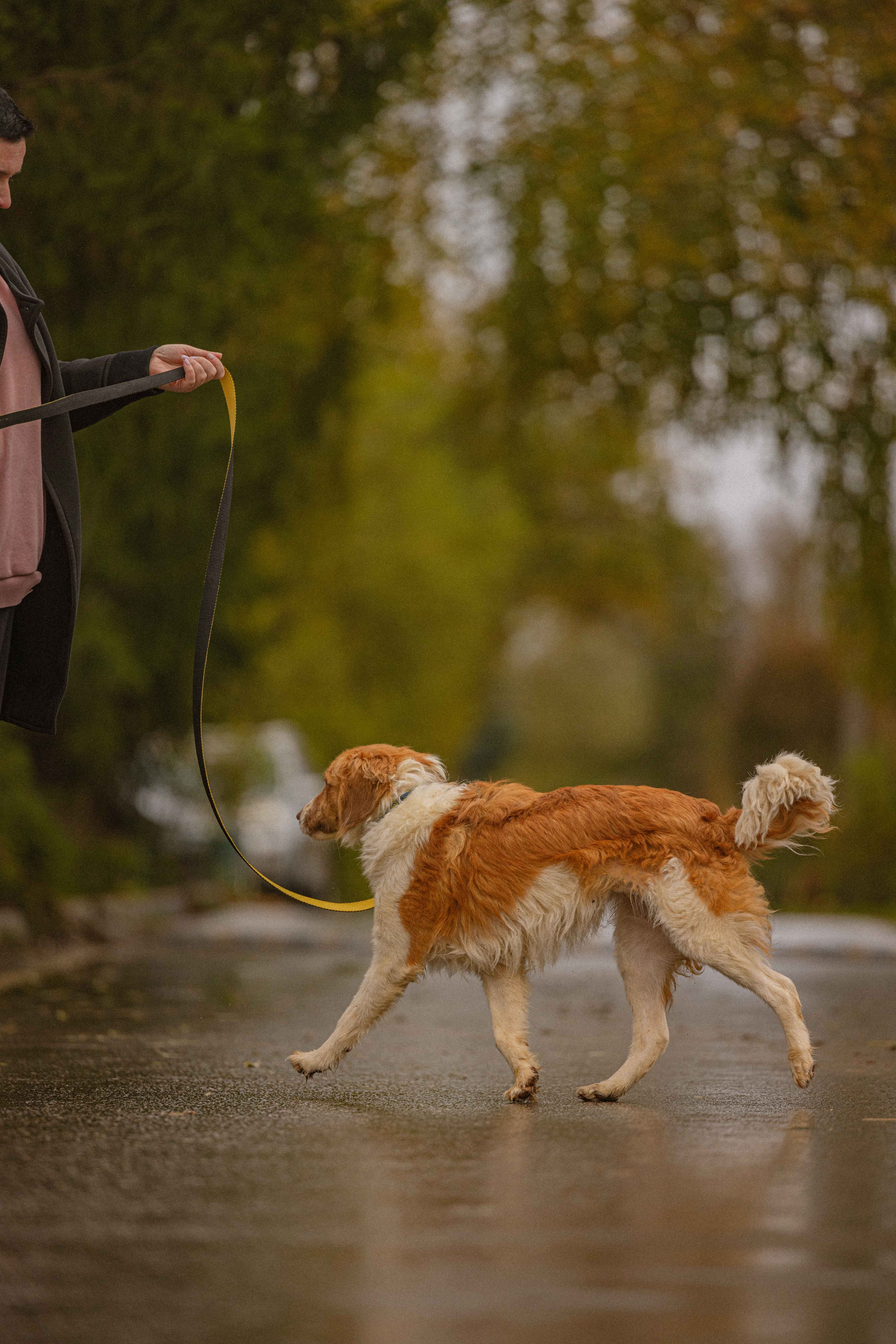 Передержка. Фотограф-анималист в Москве Лера Черноног