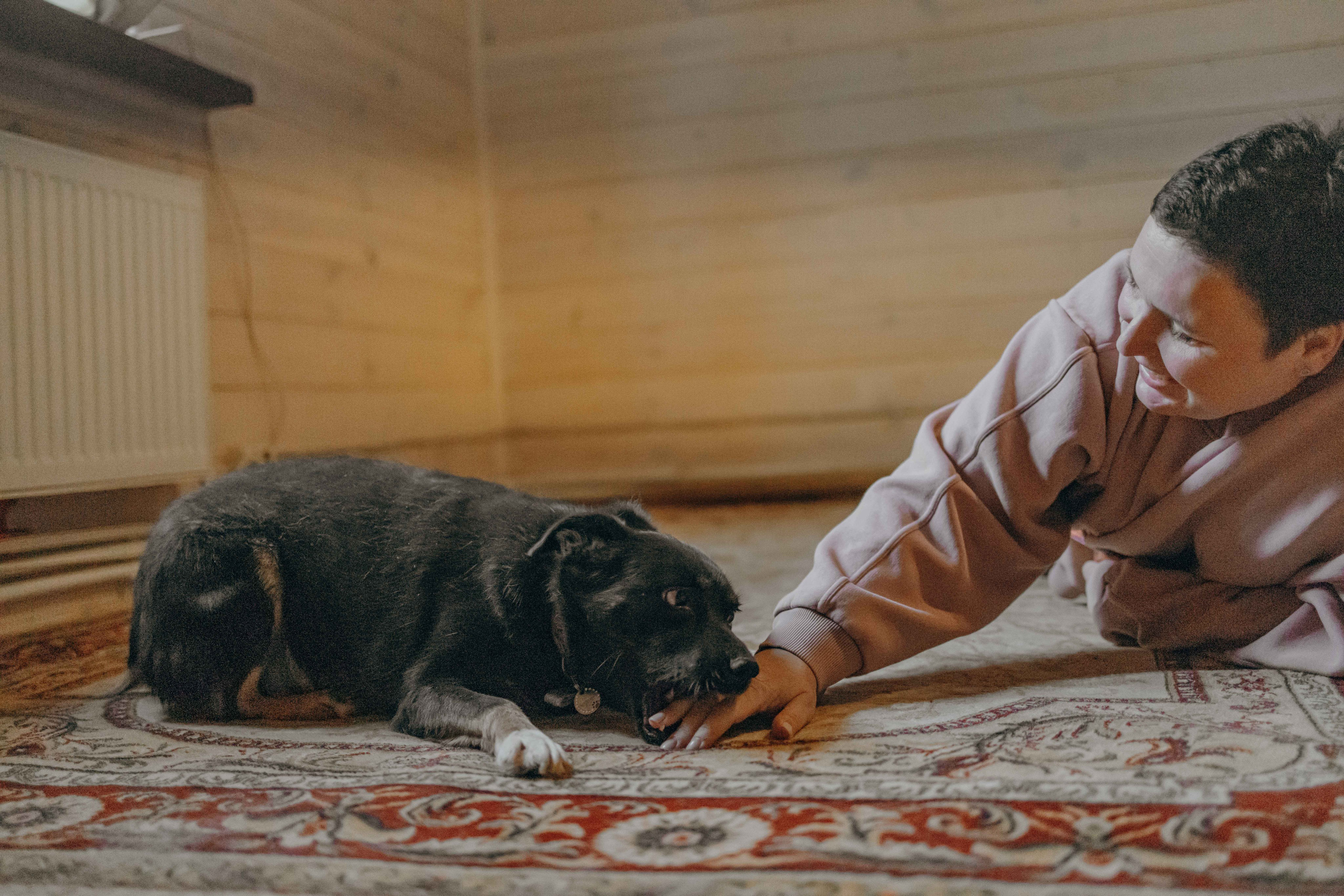 Передержка. Фотограф-анималист в Москве Лера Черноног