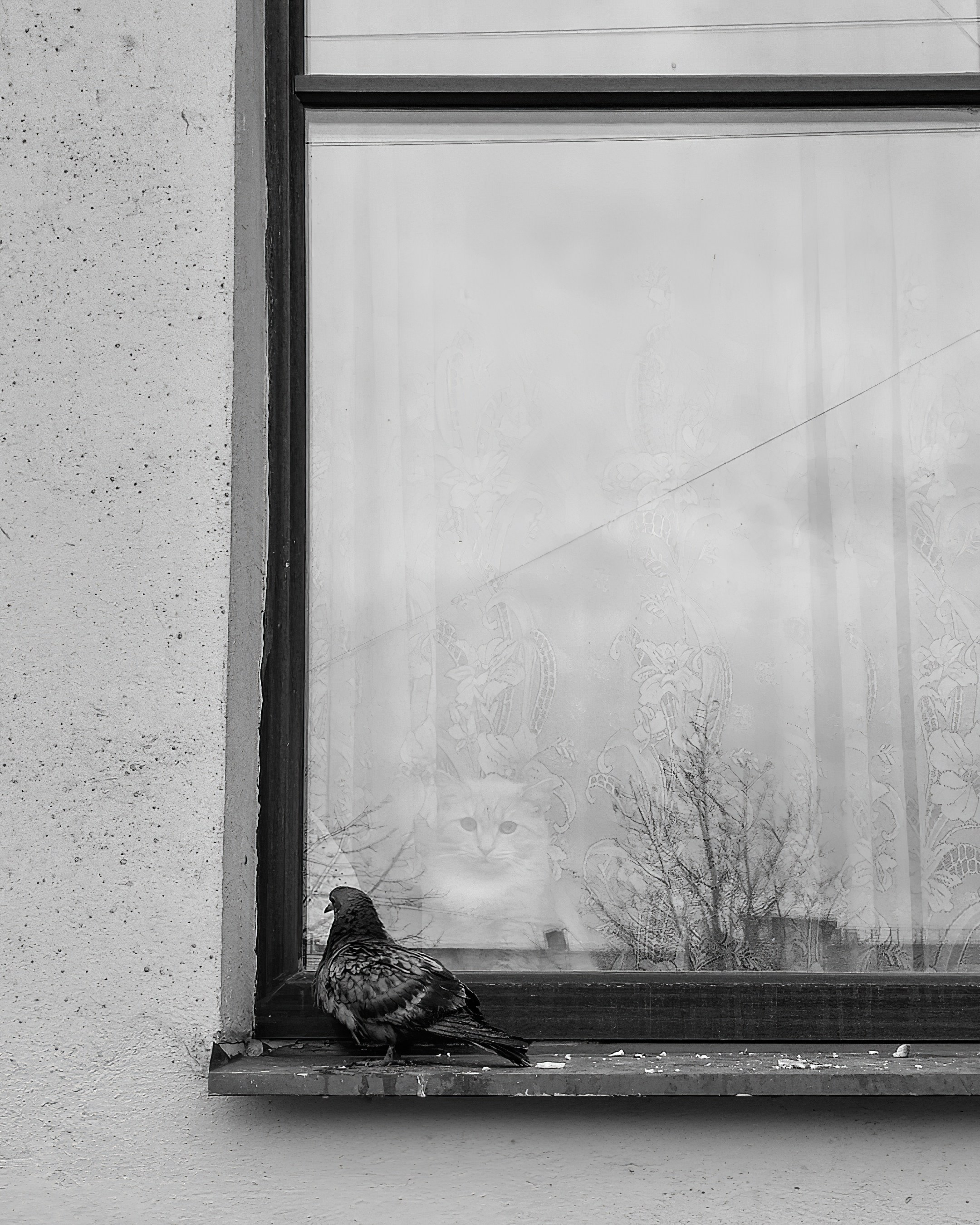 Мобильное. Дмитрий Ратихин. Видеограф и фотограф в Санкт-Петербурге и Москве