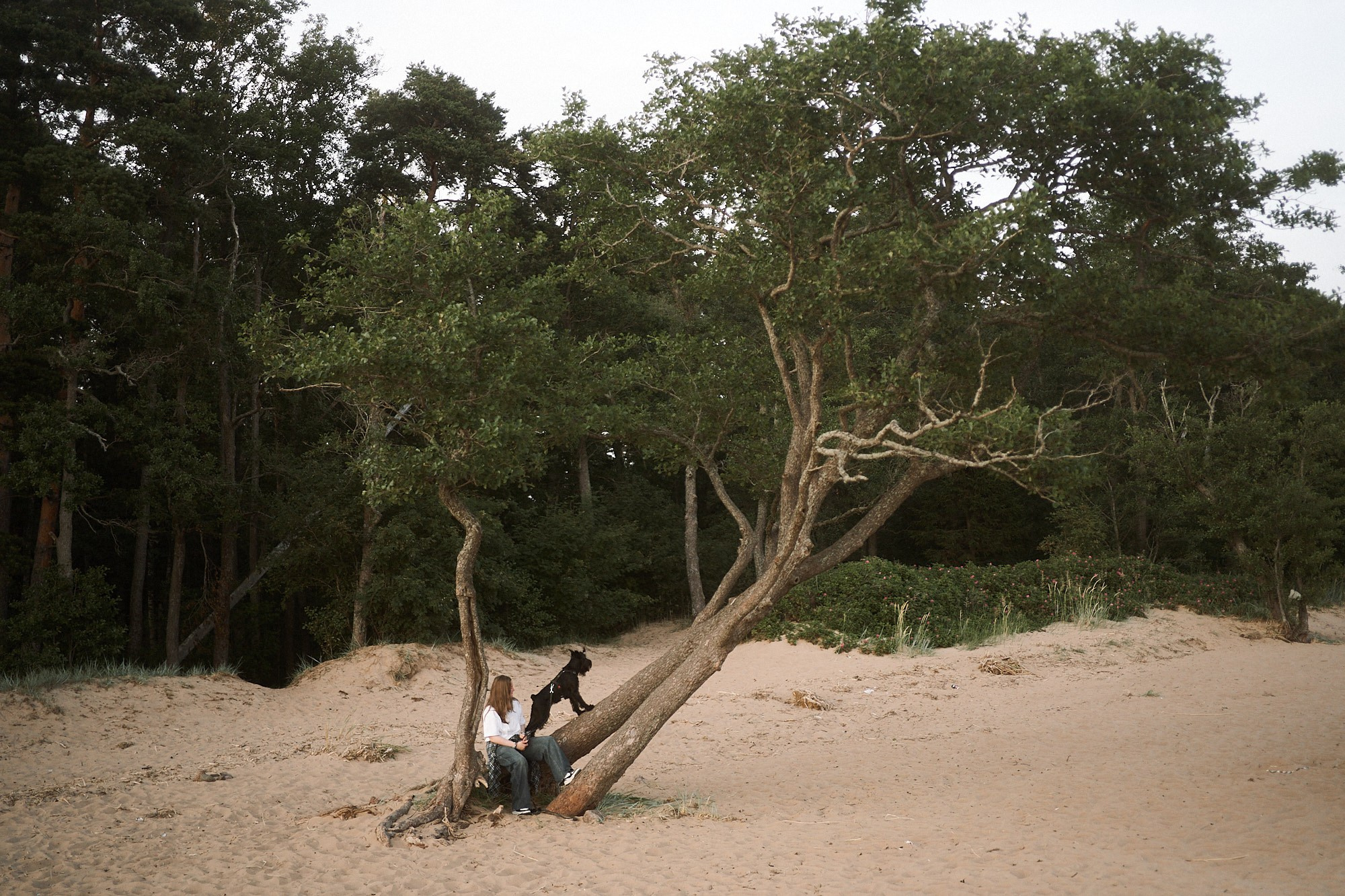 Оля и Месси. Фотограф анималист Москва Дарья