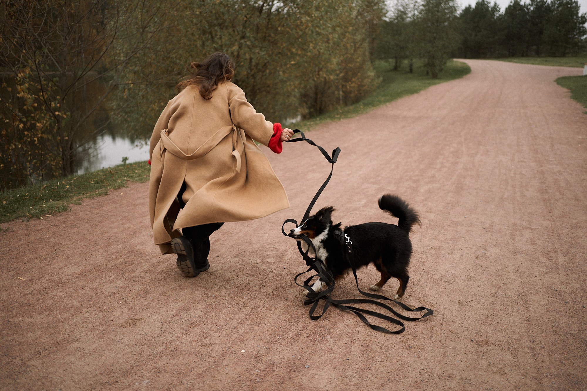 Осенью любить. Фотограф анималист Москва Дарья