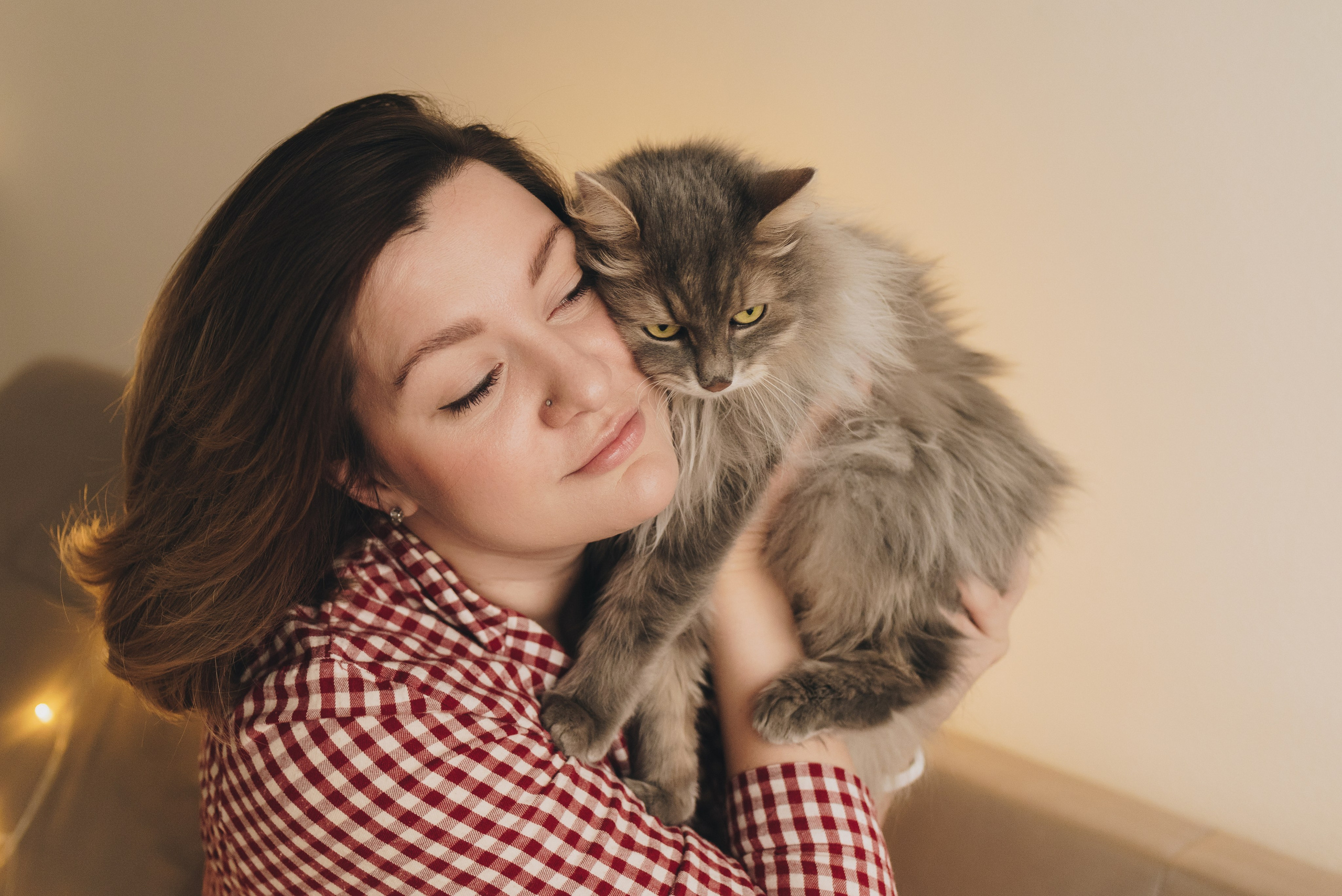 Vika & Kot. Natalia Finch Photography — Family, Kids & Pet Photographer in Chicago, IL