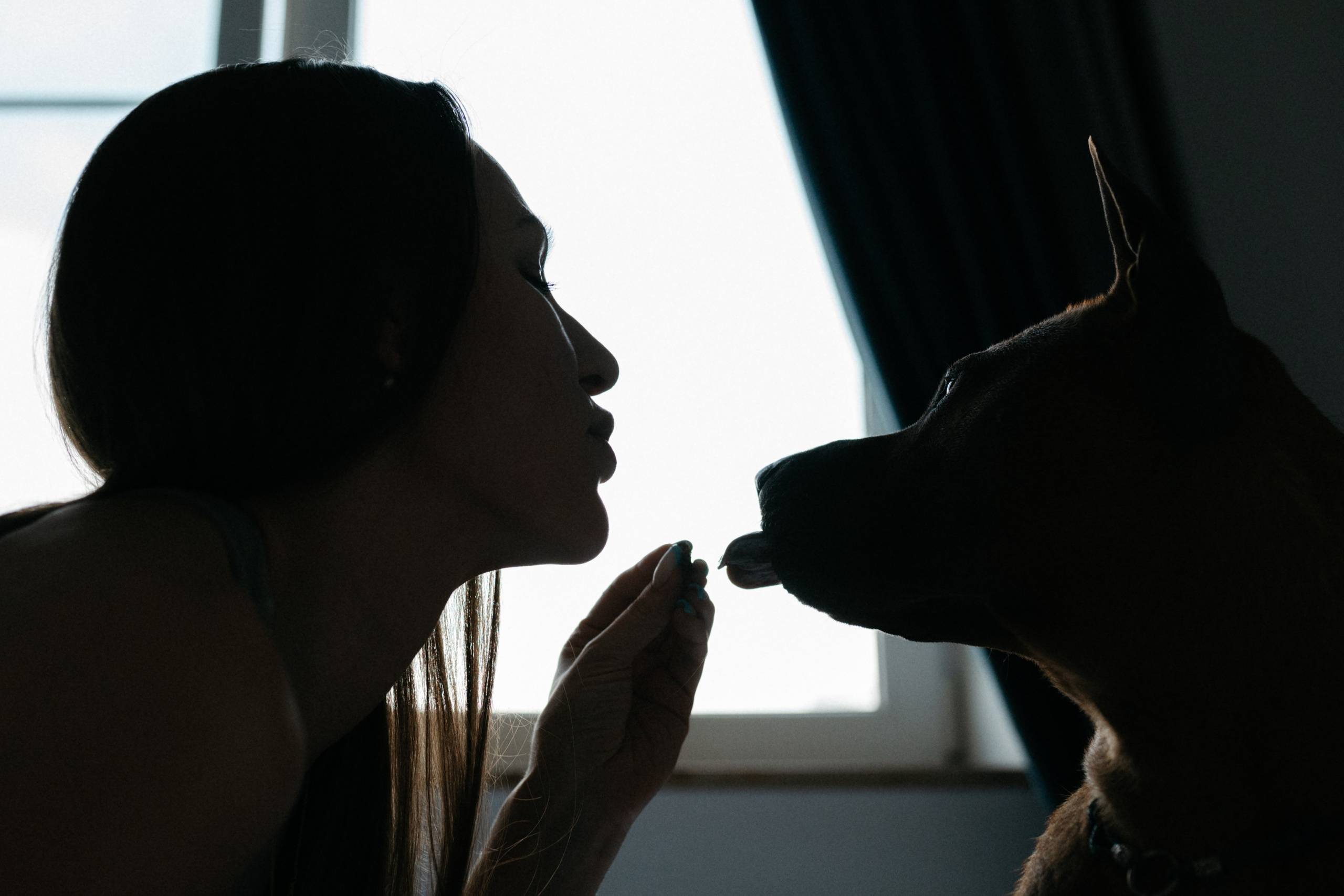 Оксана и Зевс. Фотограф анималист в Москве Ольга Агушева
