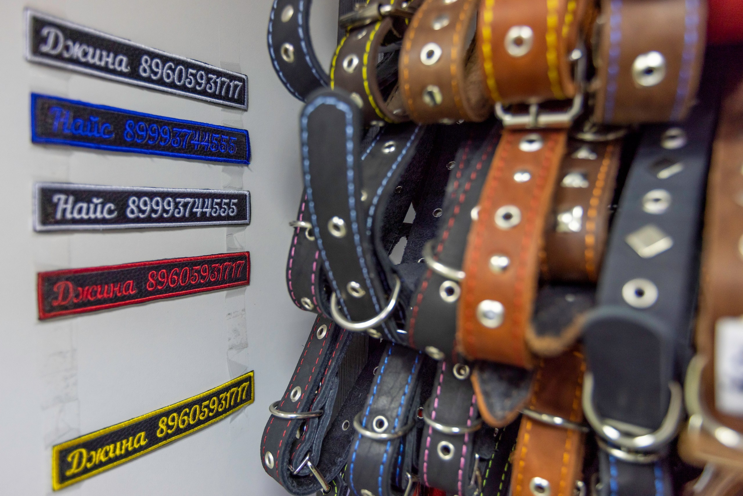 БАРОН. Ветеринарная клиника. Фотограф в Туле Крупский АнДРей. Фотостудия «КАДР71» в Туле