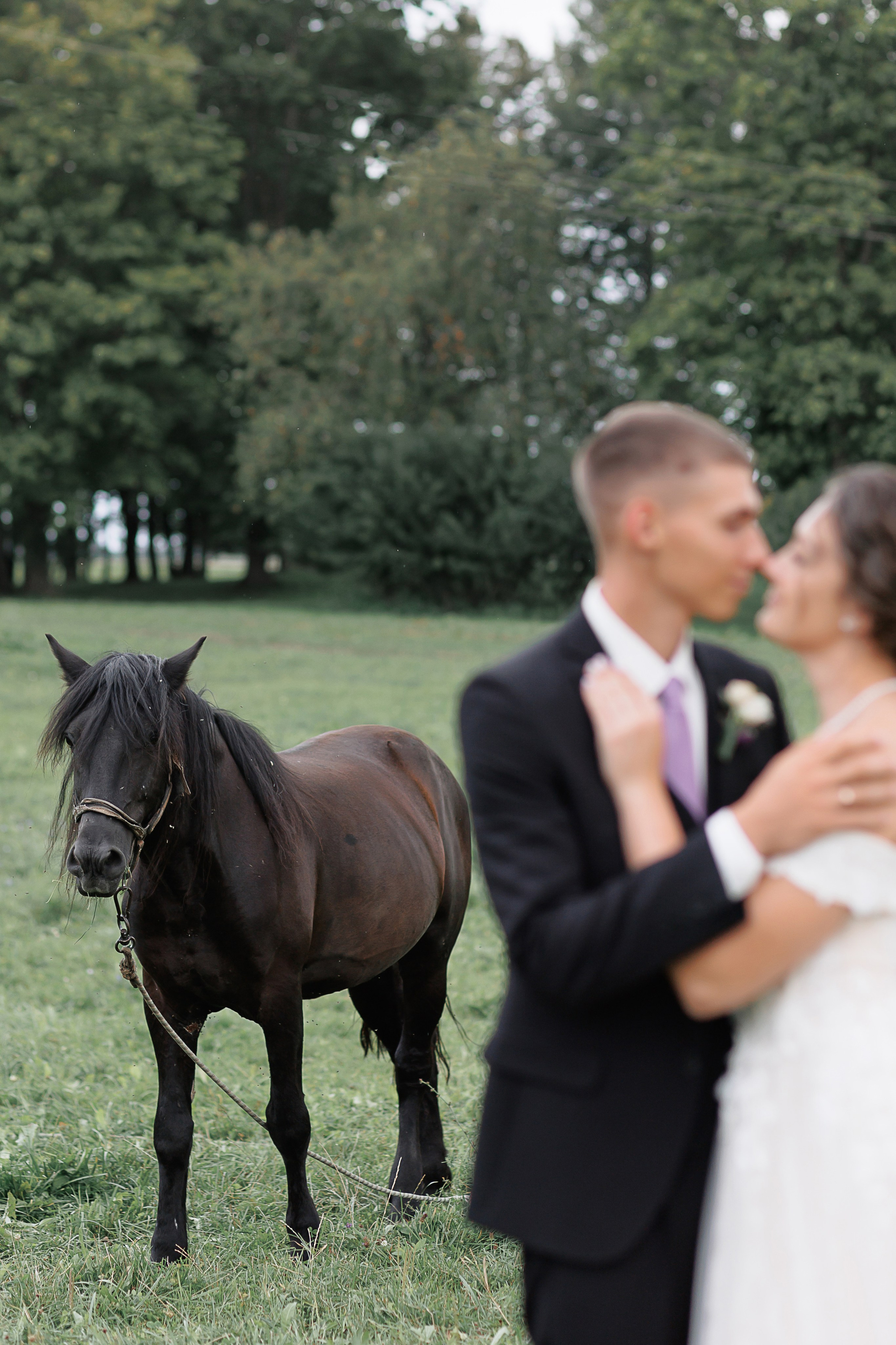 Антон и Диана. Свадебный и семейный фотограф в Твери и Тверской области