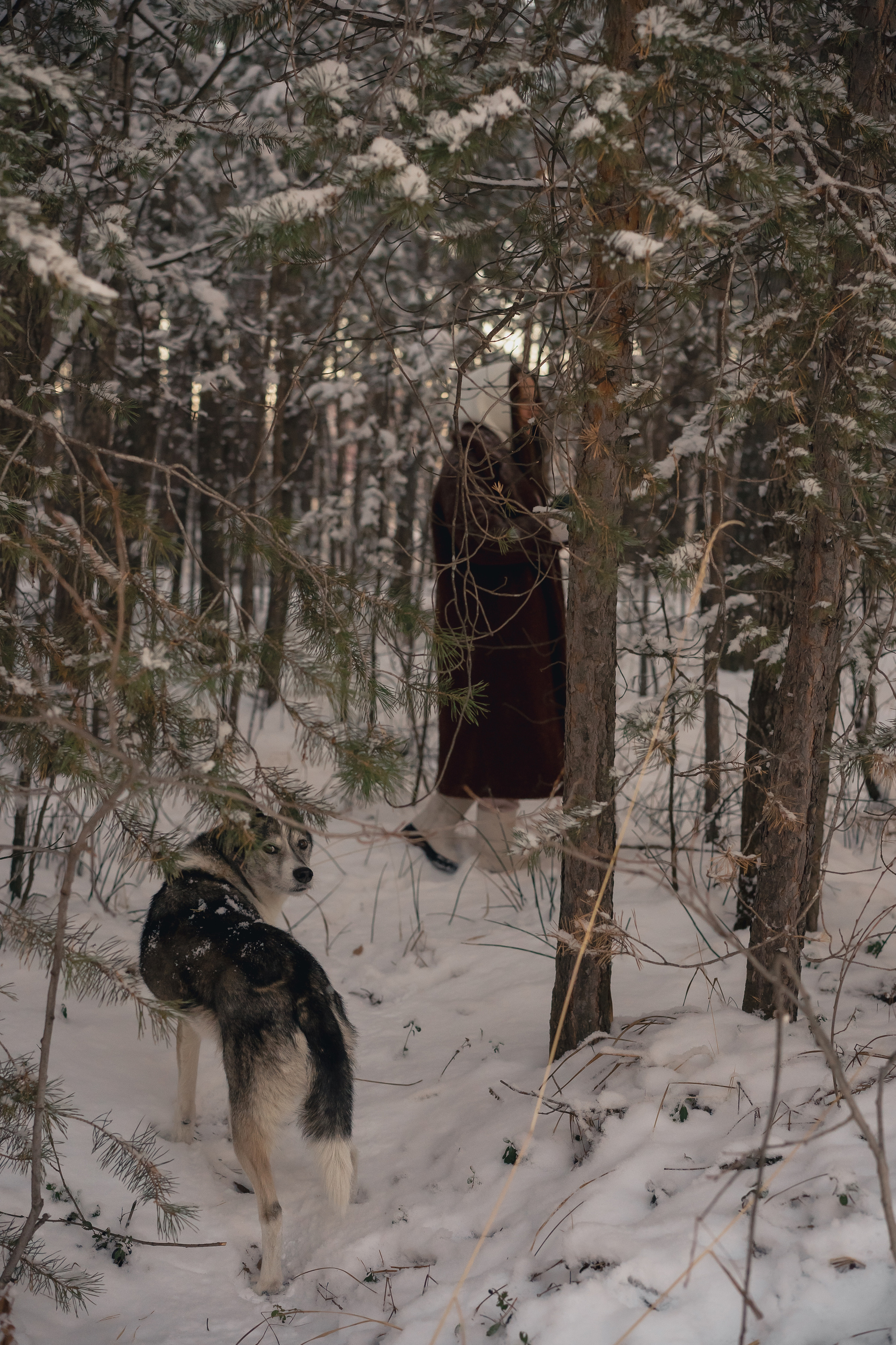 Елена. Рыжкова Елена — контент фотограф Москва Тюмень. Стилизация съемки