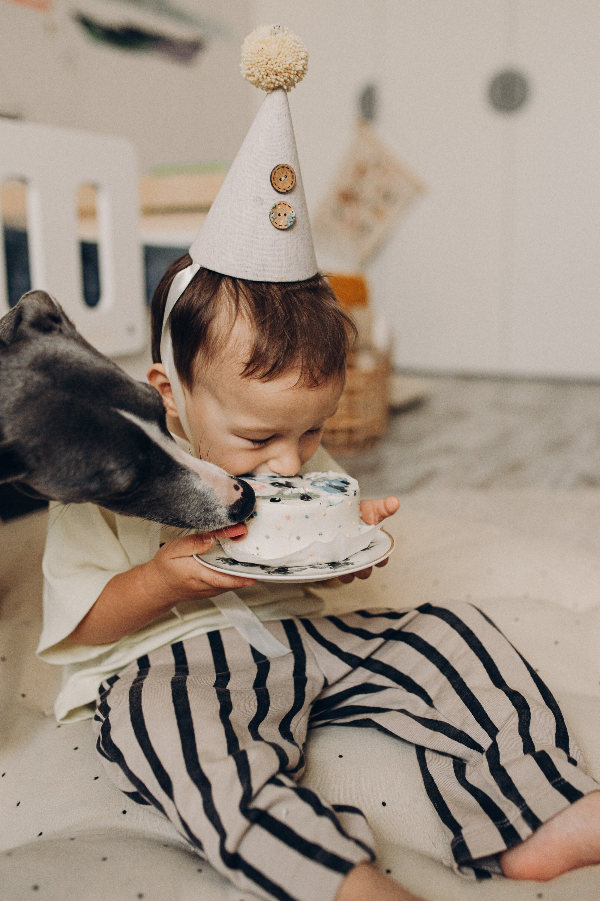 Вика, Леша, Роберт и Луша. Семейный и детский фотограф в Новосибирске и Краснообске — Анна Ким