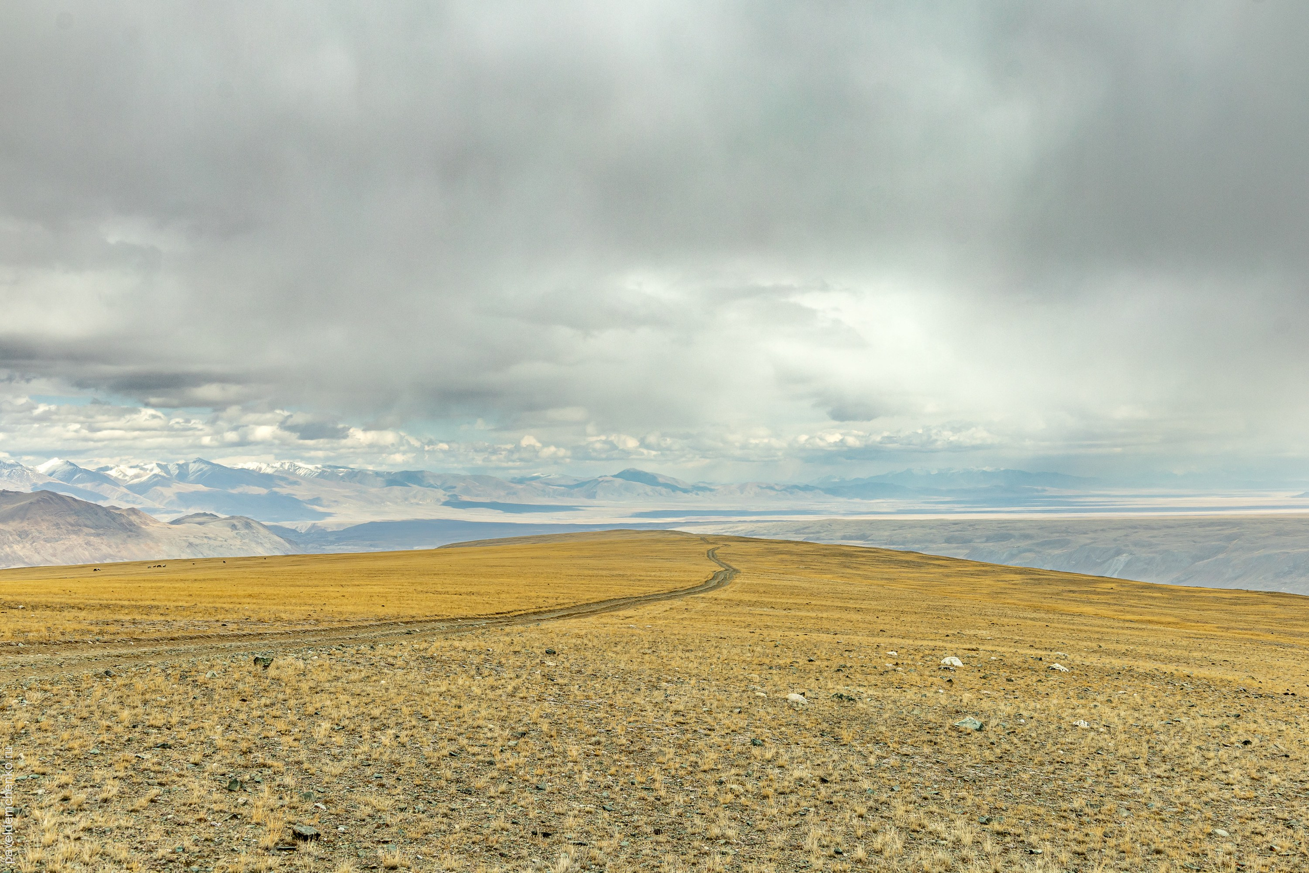 Осень в Горном Алтае 2024. Gennady Travel