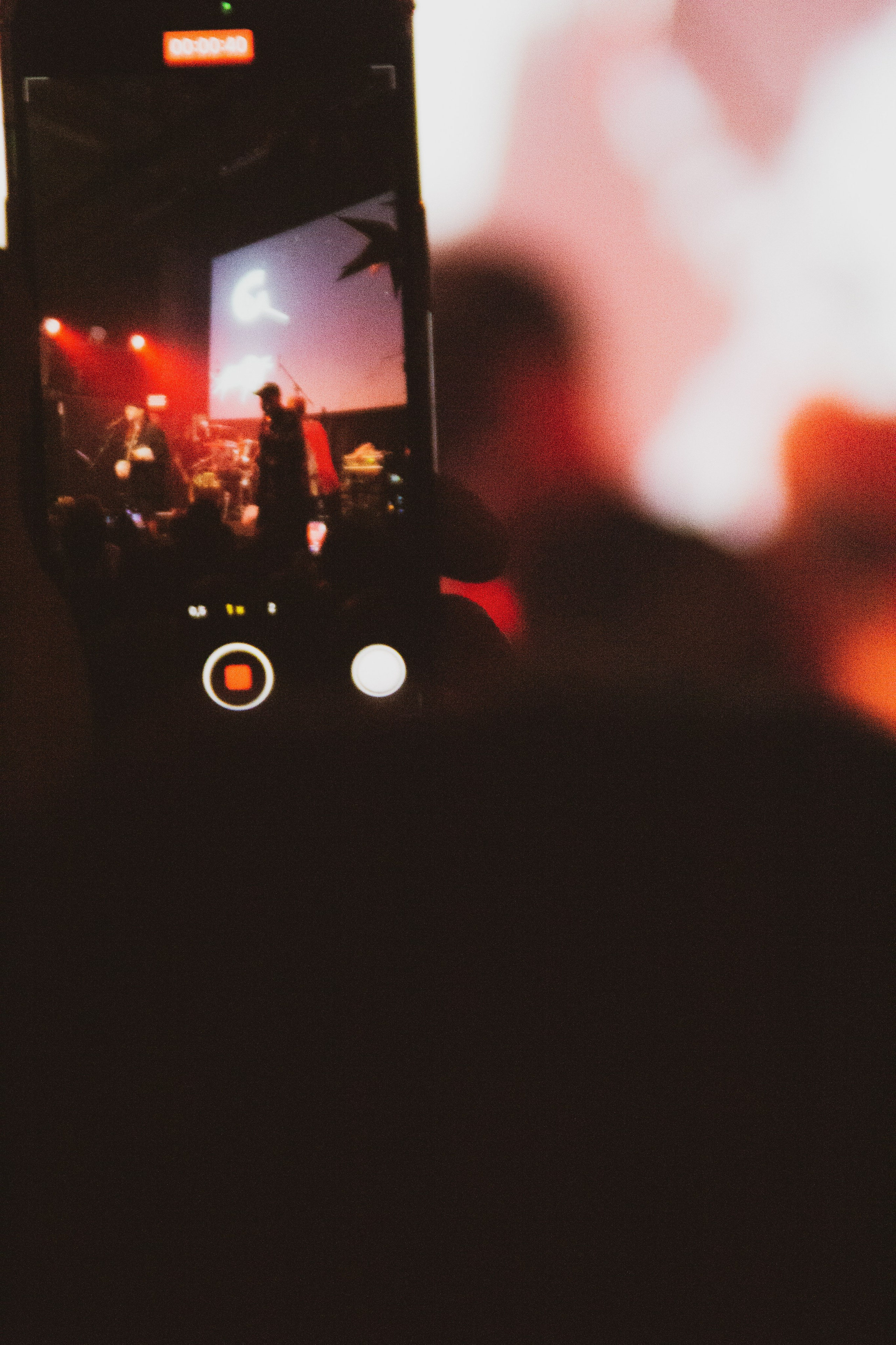 СКОТЫ | 11.12.2024 | ЛАСТОЧКА. VLADIS PISKUNOV | Концертные Фото |Репортажи