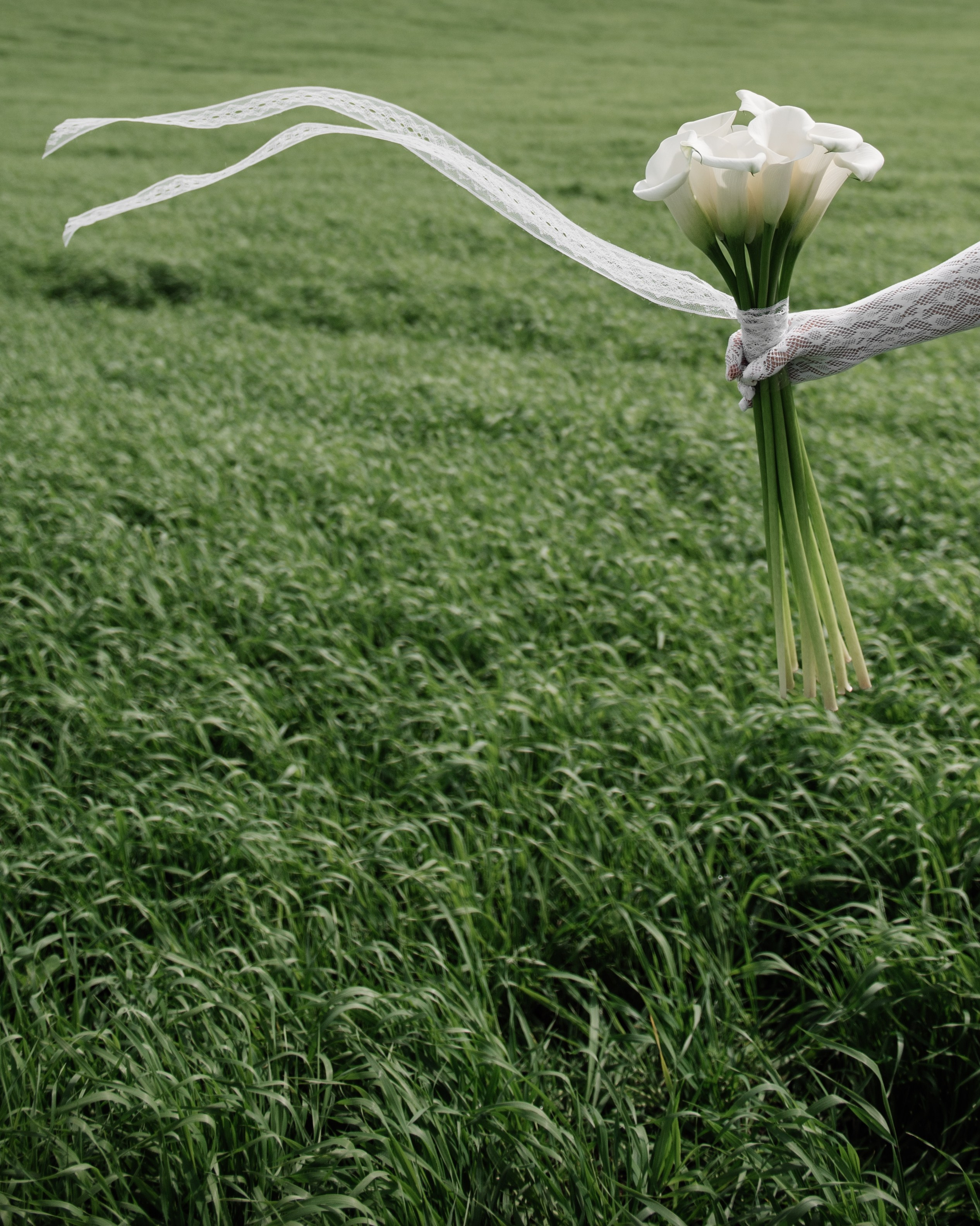 Свадебное портфолио. Свадебный, семейный фотограф Санкт-Петербург, Колпино, Юлия Хоружая