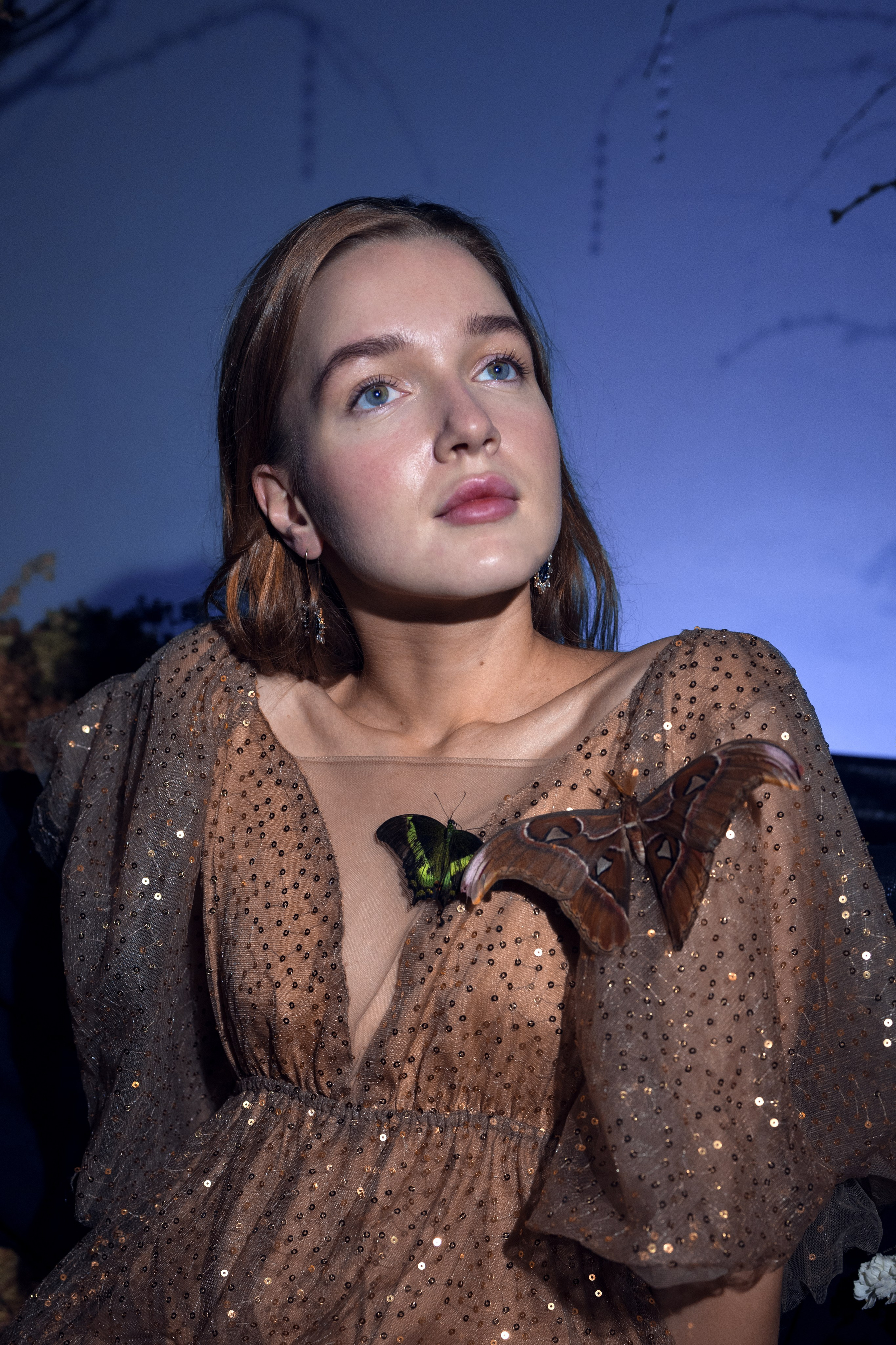 Фейский Альбом