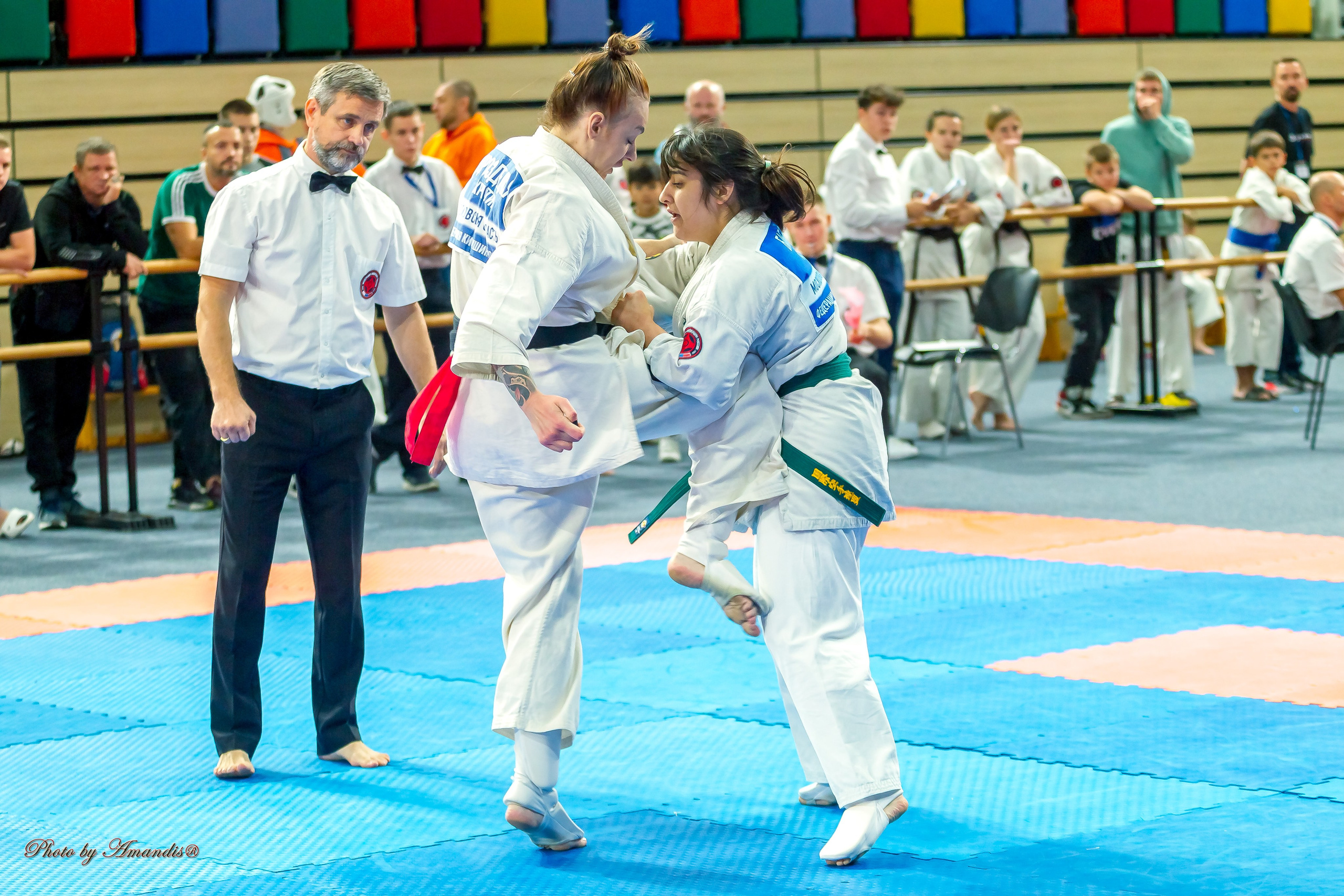 Первенство Московской области по Киокушин в СК «Жаворонки». Репортажная съемка в Москве и области. Анималистика