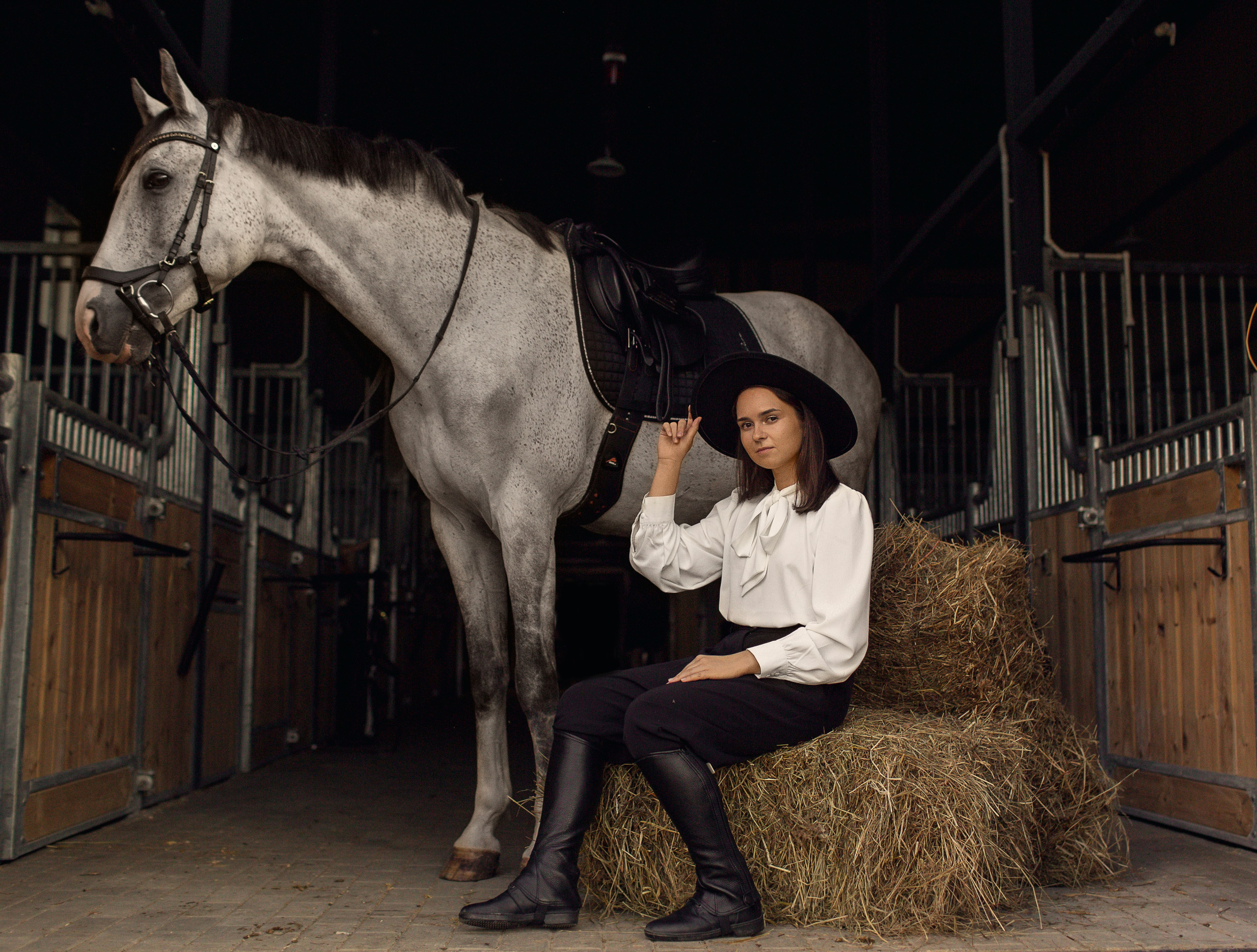 Фотосессия с серой лошадью