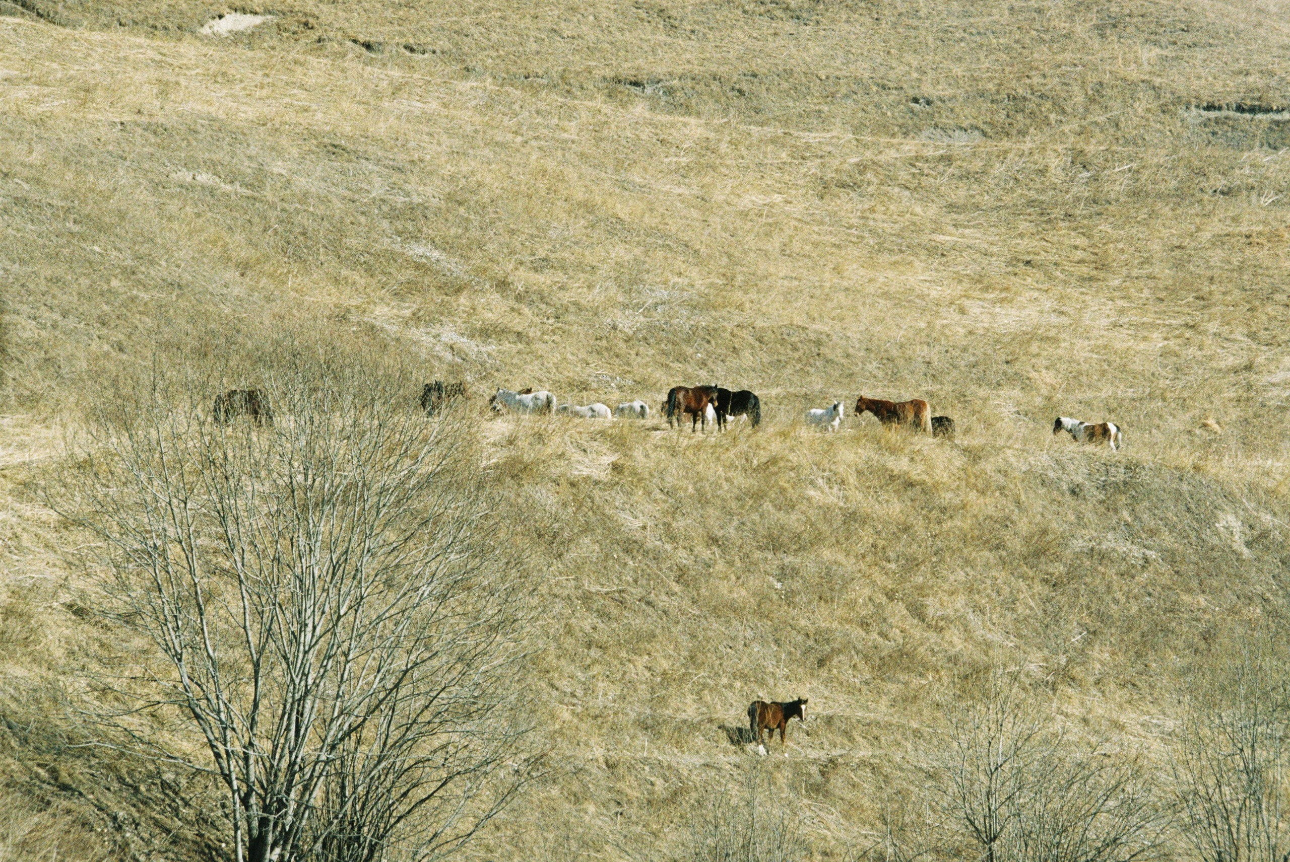 Фотографии Северной Осетии | Филипп Линзин. Репортажный и портретный фотограф в Санкт-Петербурге Филипп Линзин