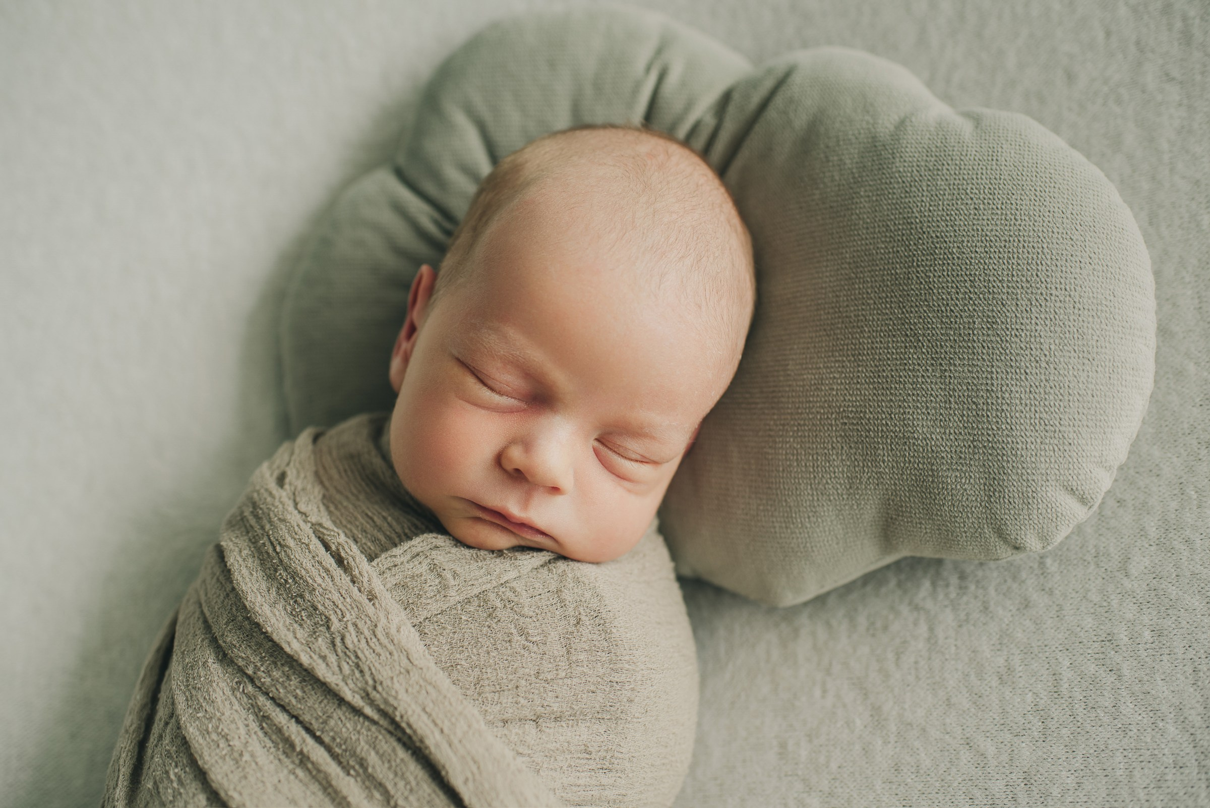 Лев. Фотограф в Москве новорожденные свадьбы семьи Дарья Ларионова