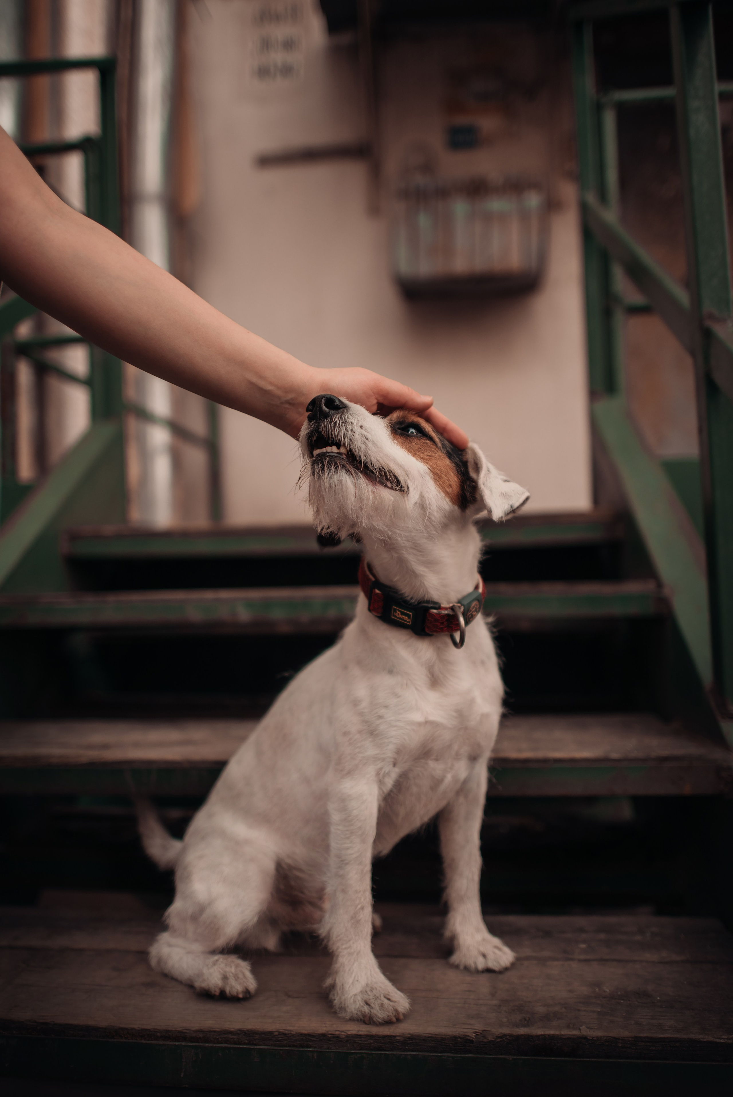 Рассвет в городе: Ира и парсон Гром. Портфолио