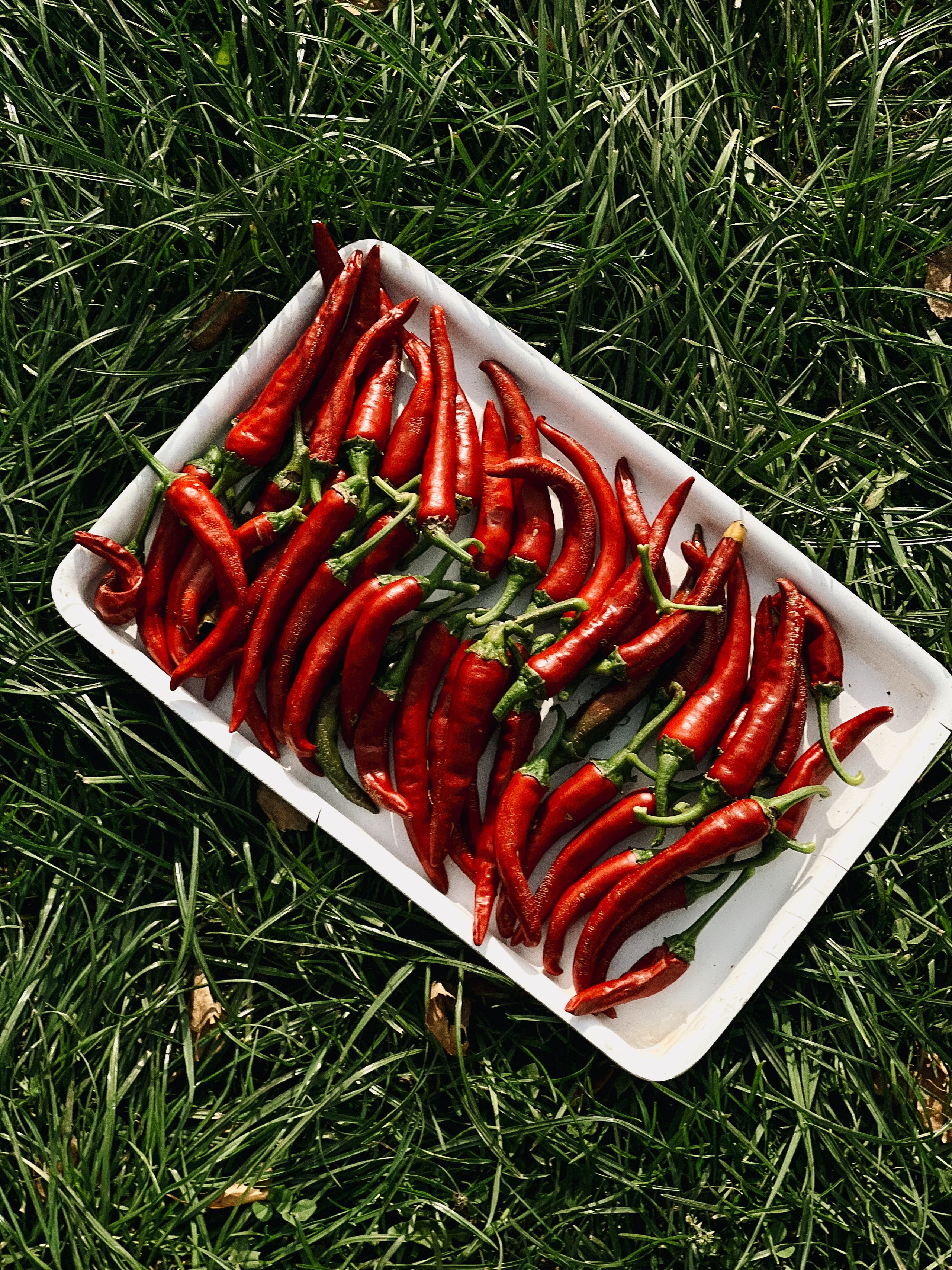 Food. Алёна Стерхова — Предметный и портретный фотограф. Ижевск