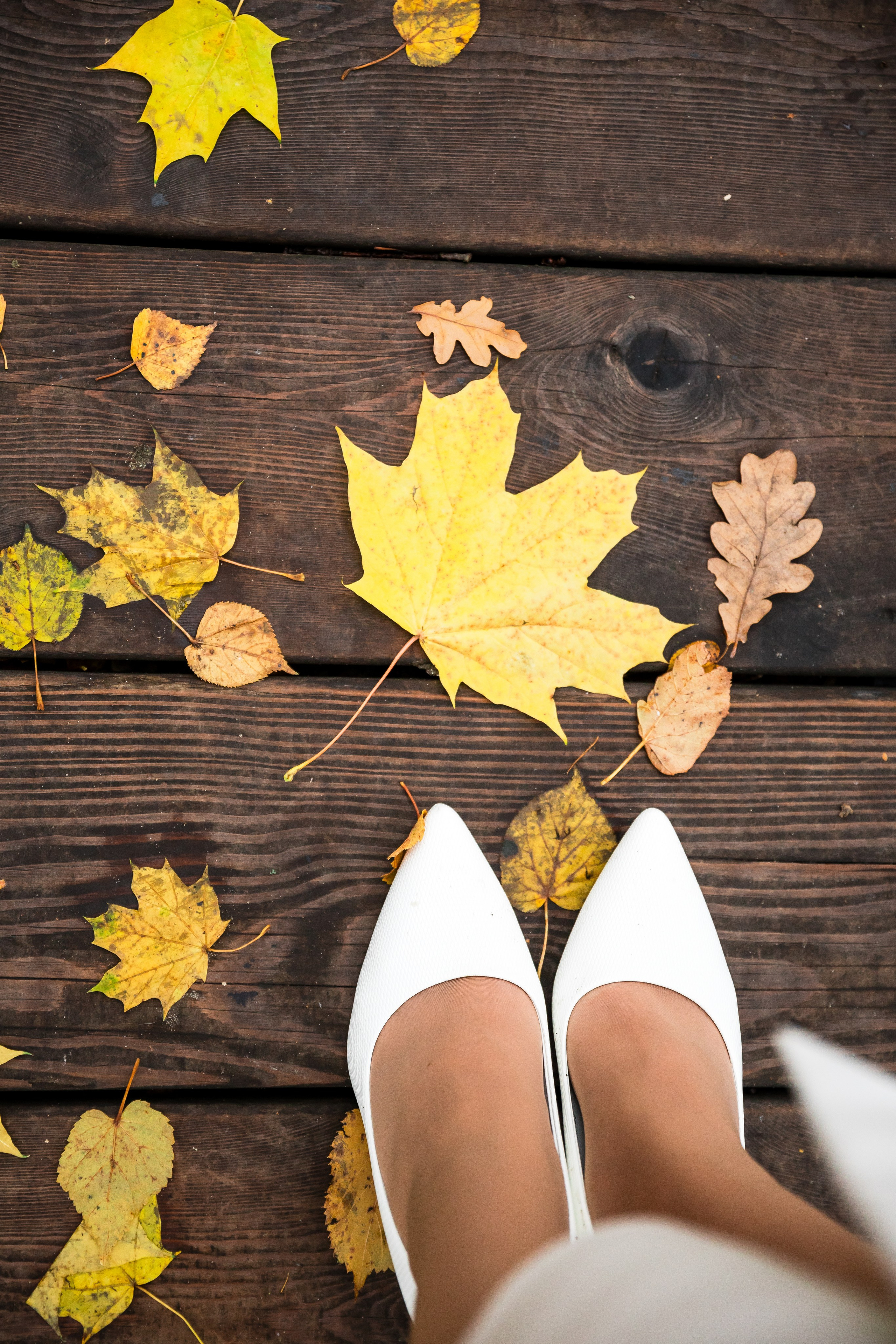 Алексей и Анастасия. Фотограф FOTOBANKA