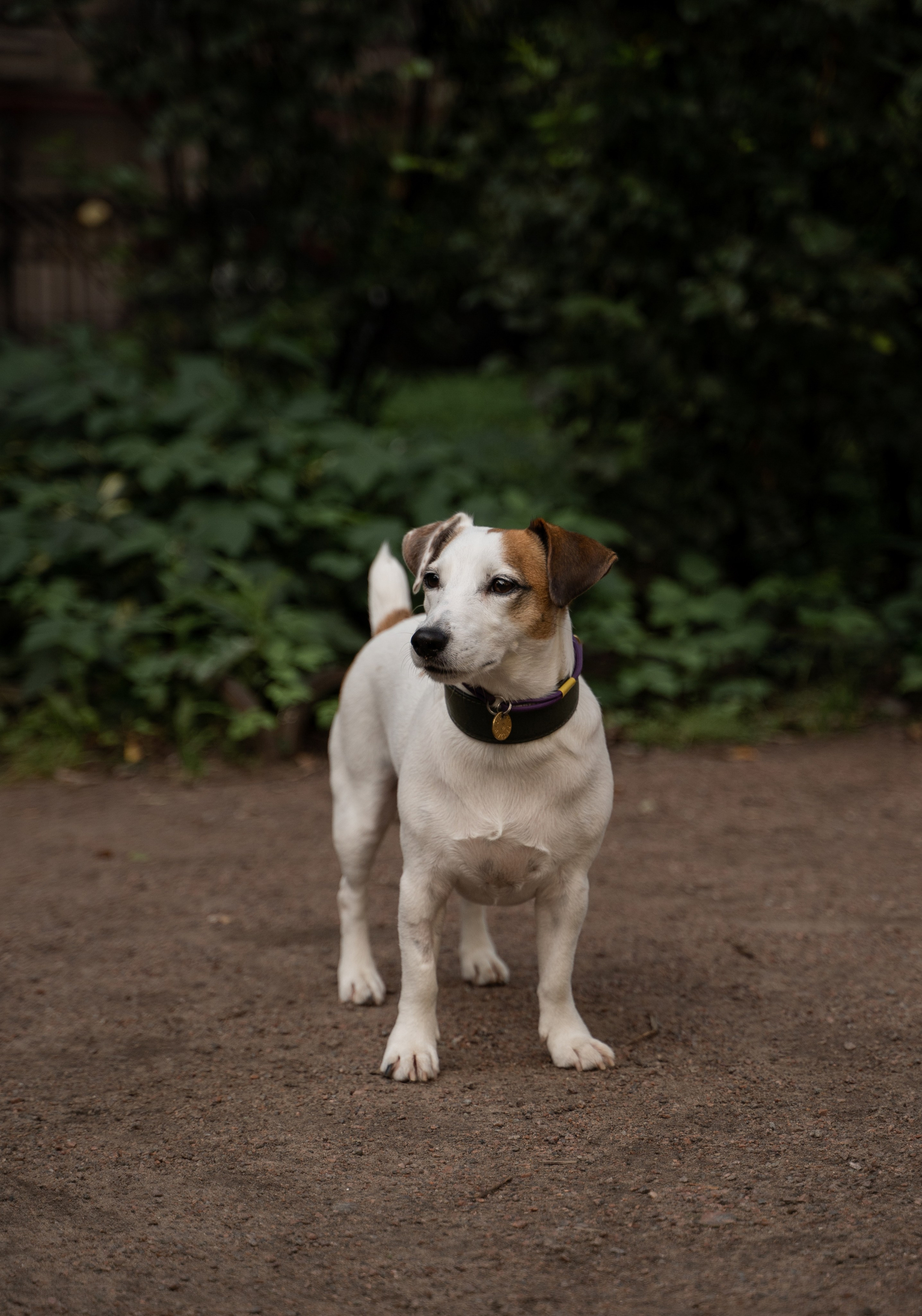 Маша, Даня, Луна. Фотограф Анна Котова