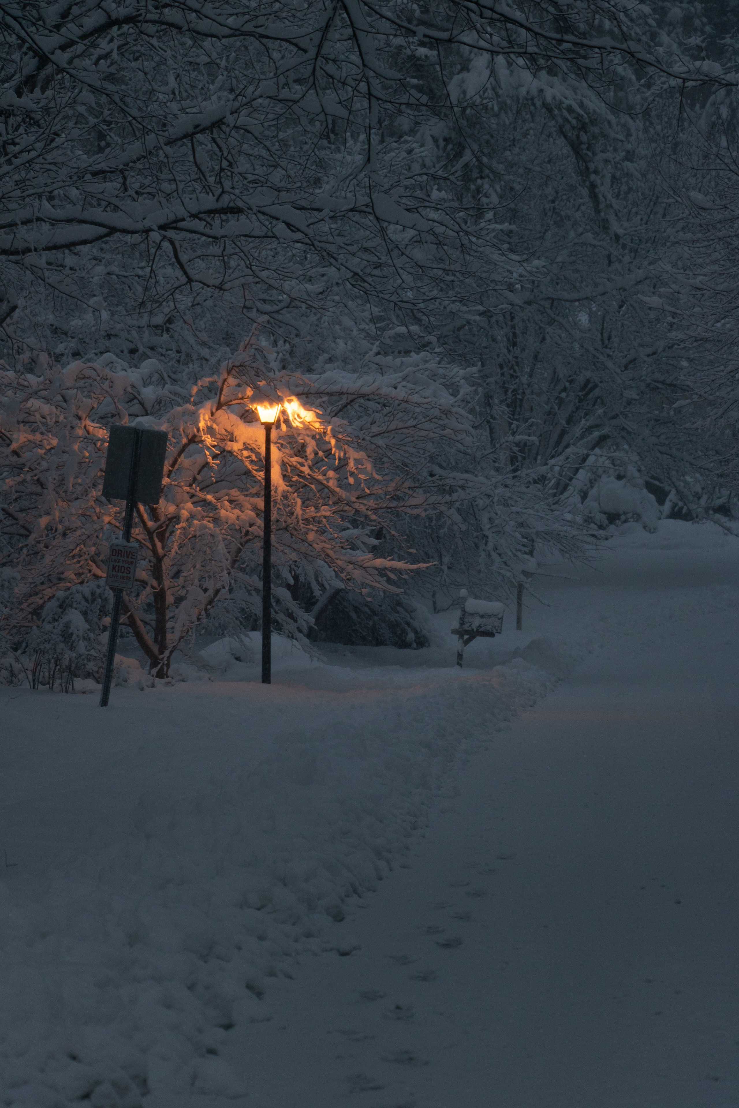 Главная (Не удалять). Свадебный фотограф в Санкт-Петербурге Алиса Беликова