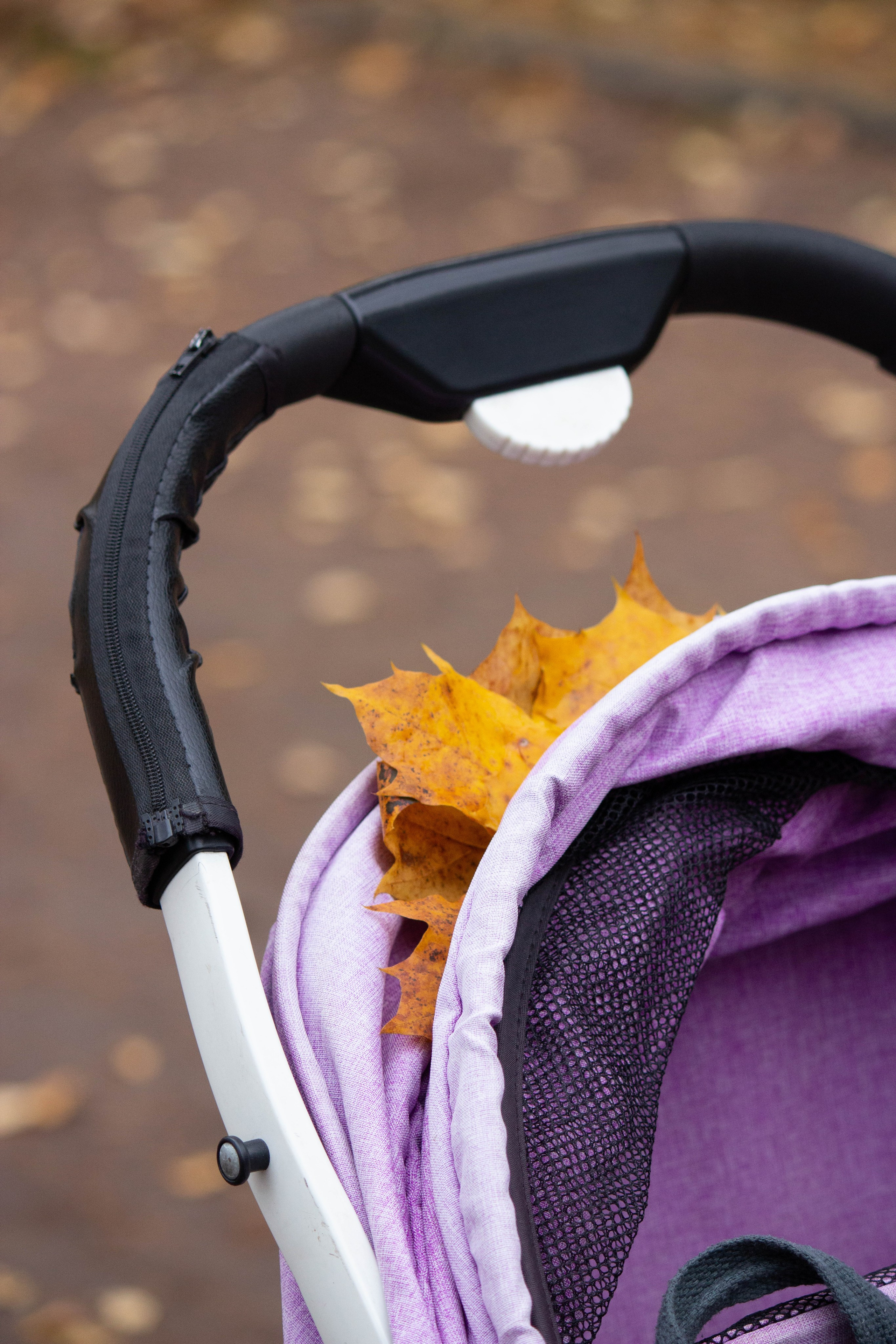 Осенняя прогулка мамочки и доченьки. Портрет / Репортаж и другое. Наталья. Natashaleto. Санкт-Петербург