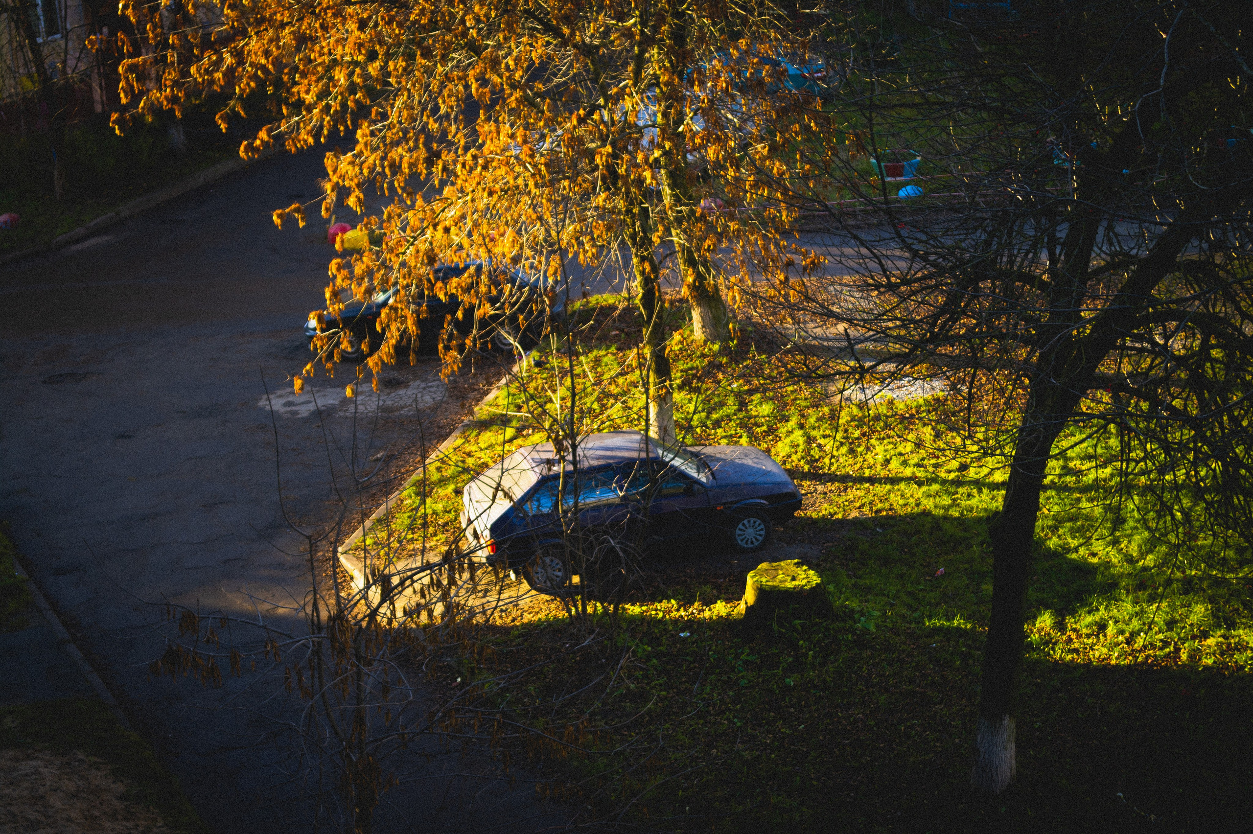 Ноябрь 2025. Den Mirov — Фотограф, Музыкант