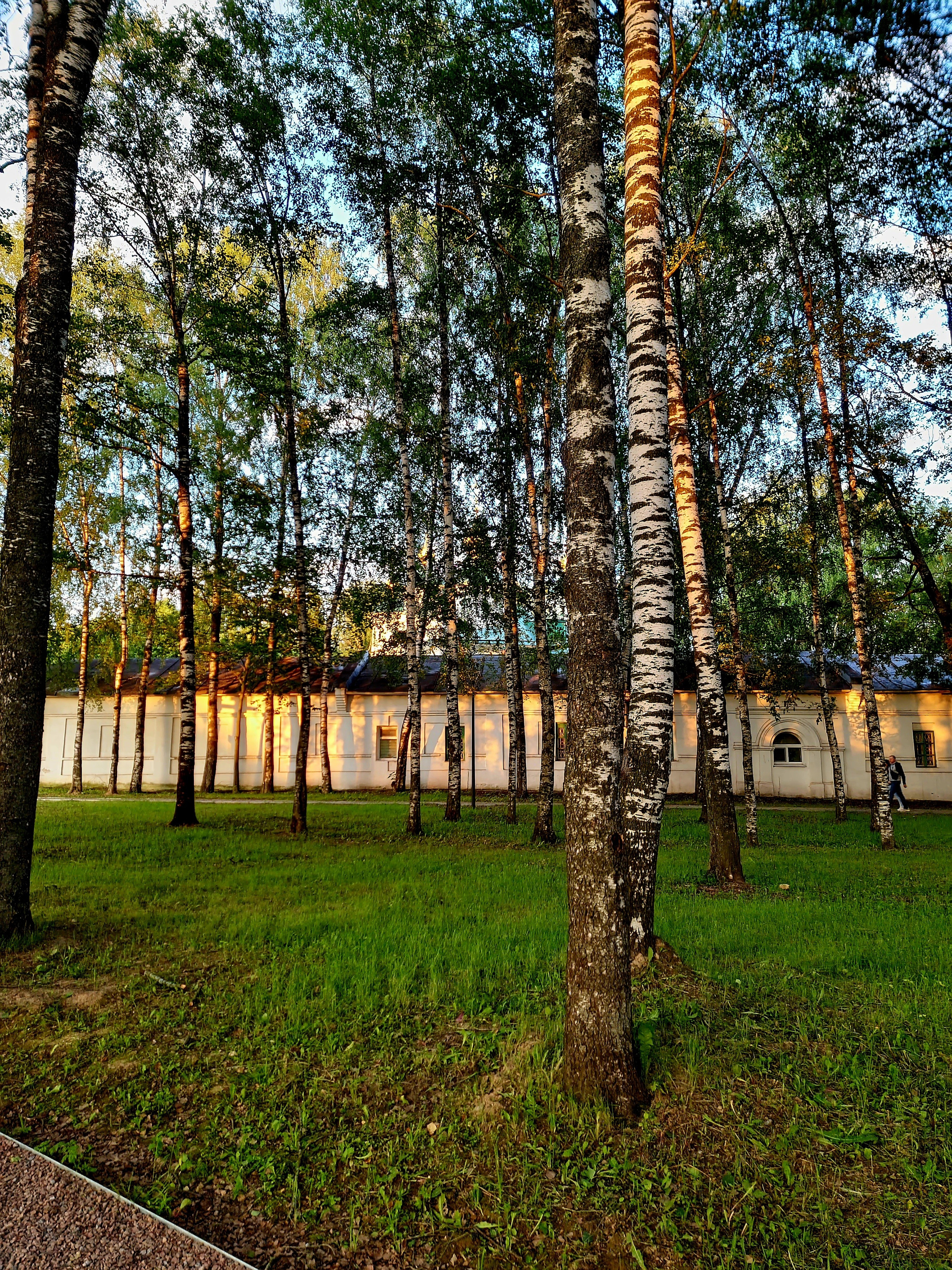 Июль 2025. Den Mirov — Фотограф, Музыкант