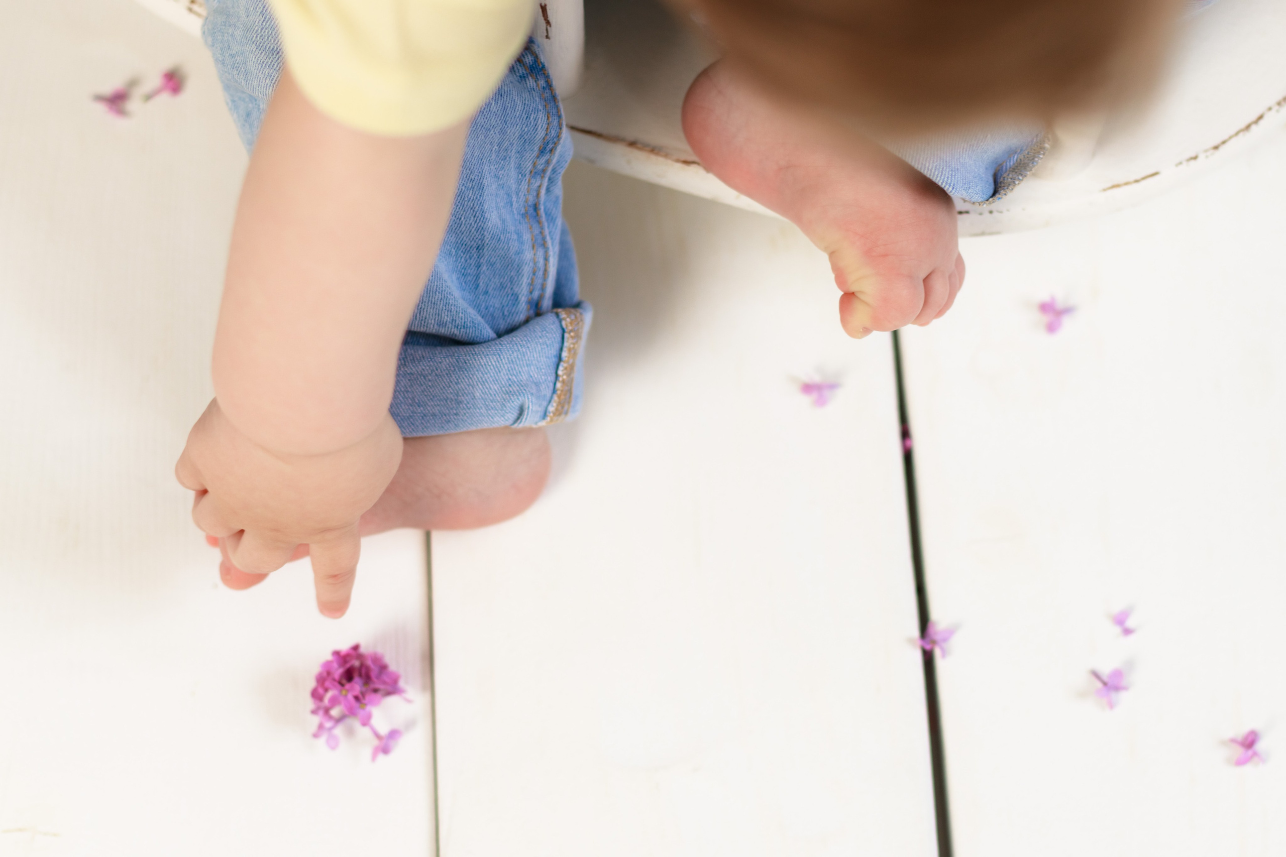 Сирень. Детский и семейный фотограф в Краснодаре Альбина Морозова