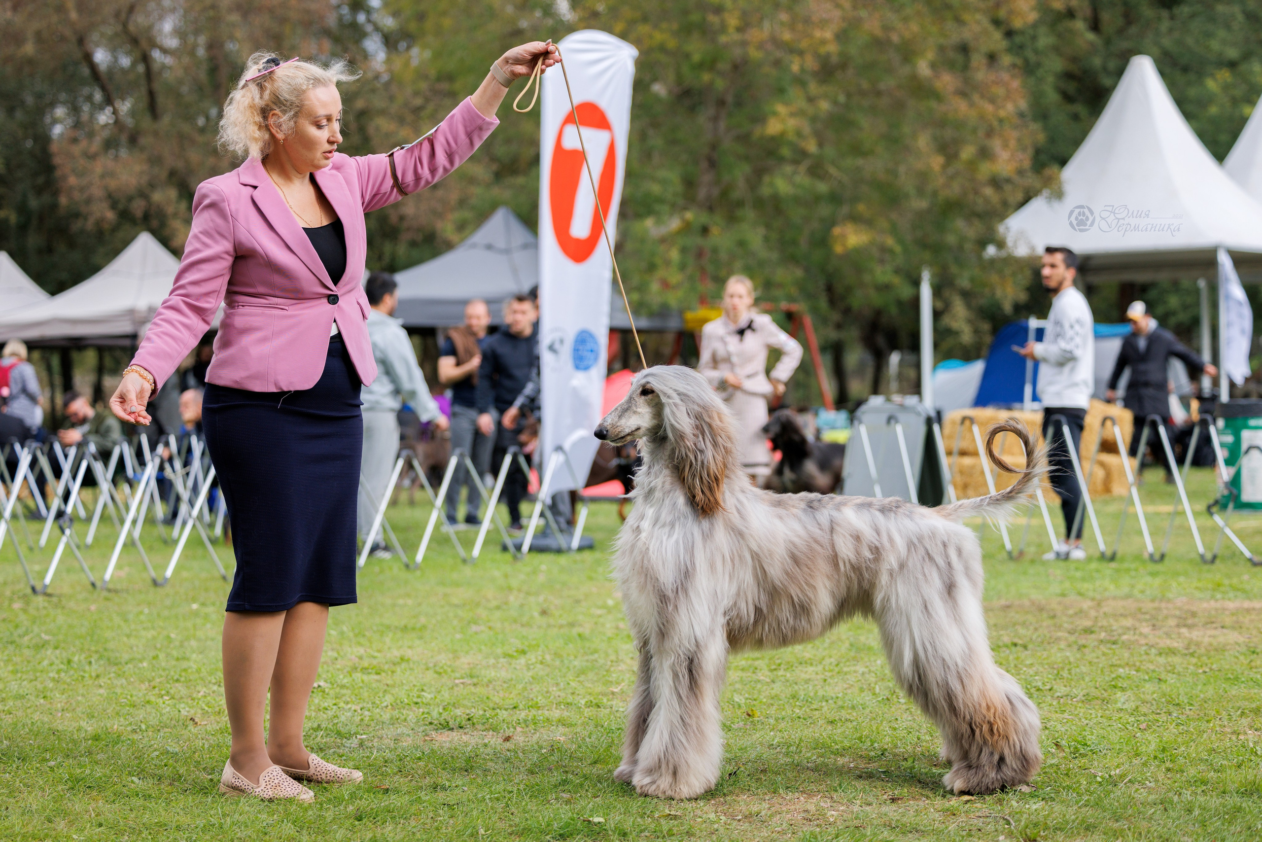 Туция,Стамбул 2хCACIB 26-27.10.24. Фотограф-анималист Юлия Германика