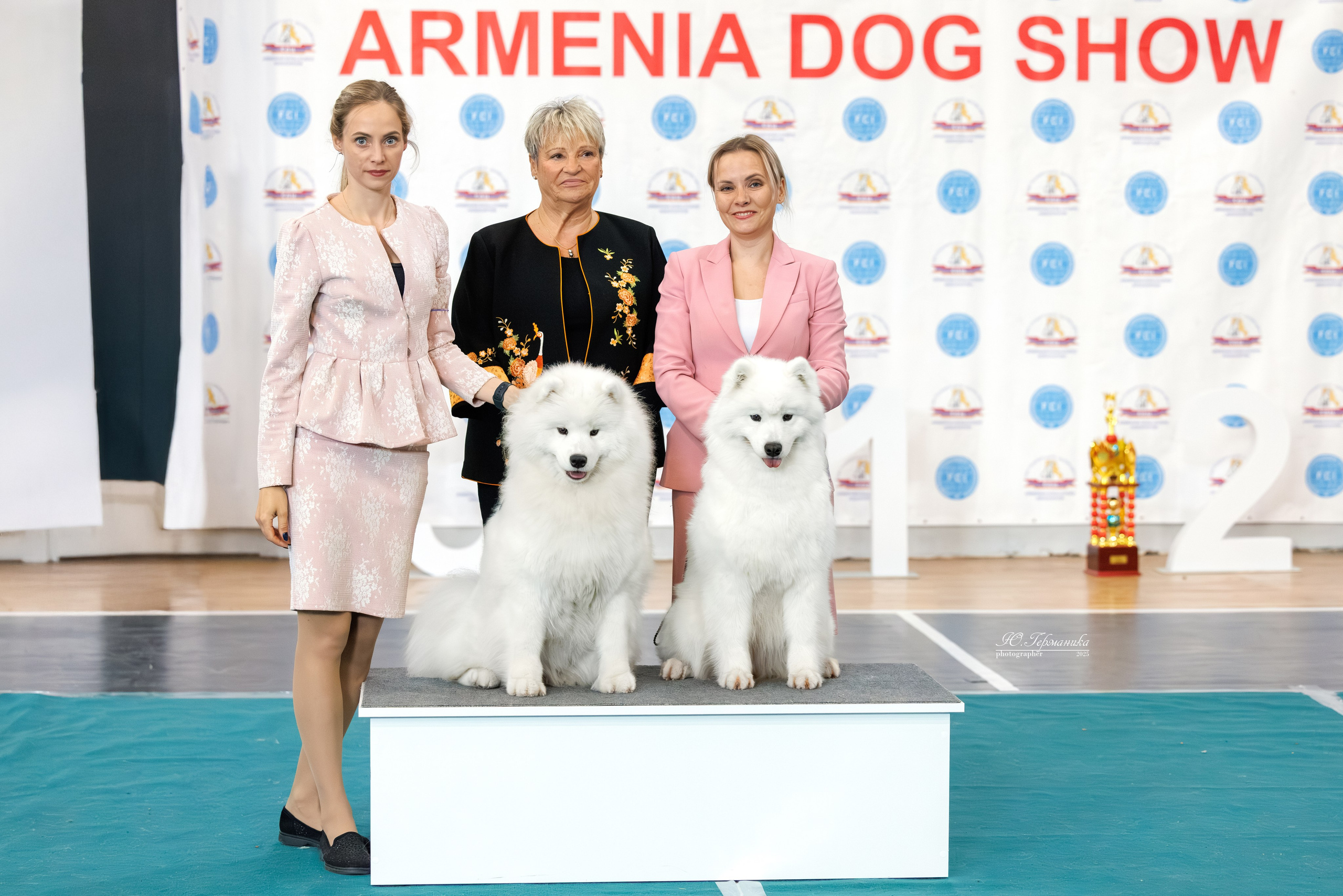 Ереван 2х CACIB 29-30.04.2025. Фотограф-анималист Юлия Германика