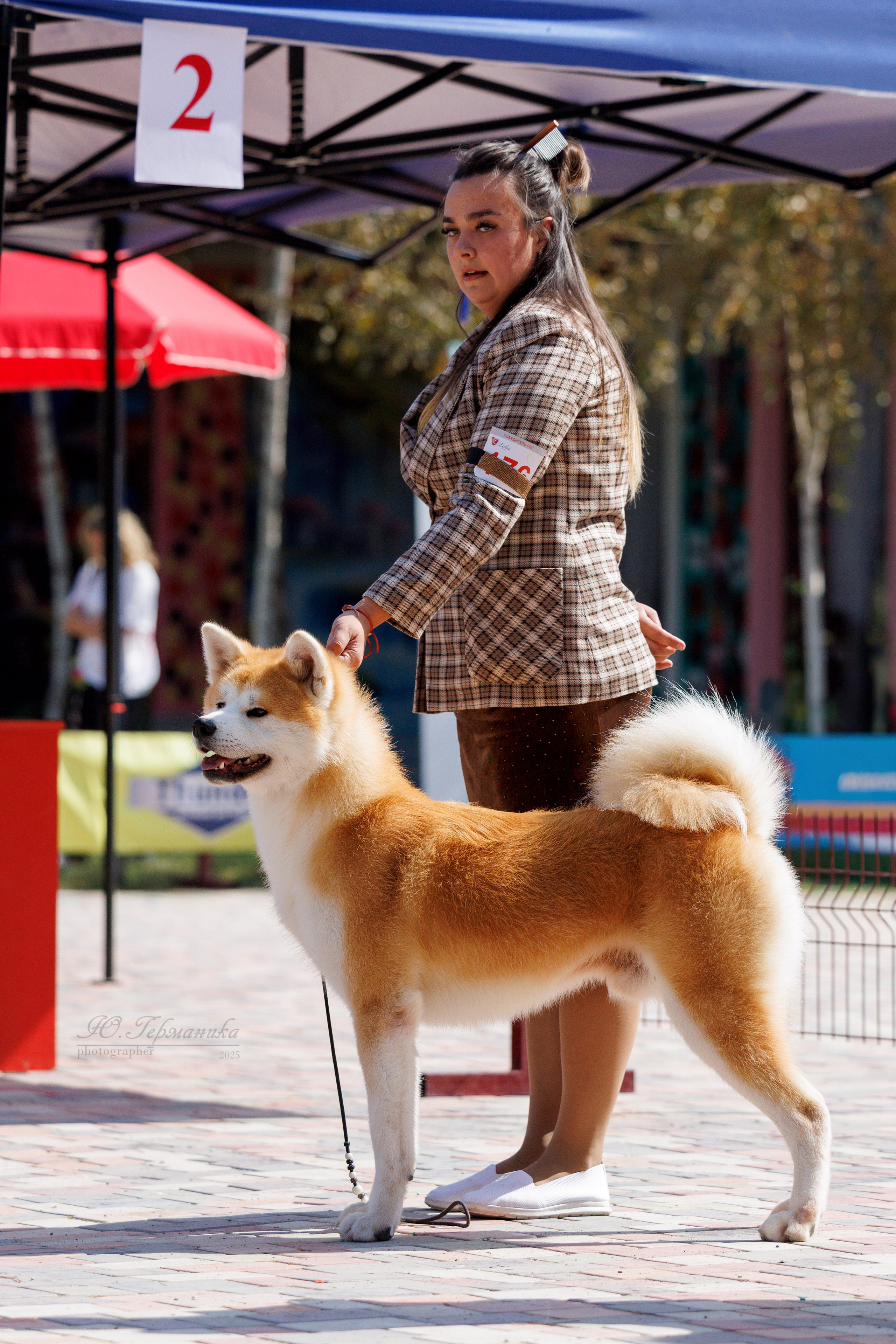 Ташкент 3хCACIB 3-5.10.2025. Фотограф-анималист Юлия Германика