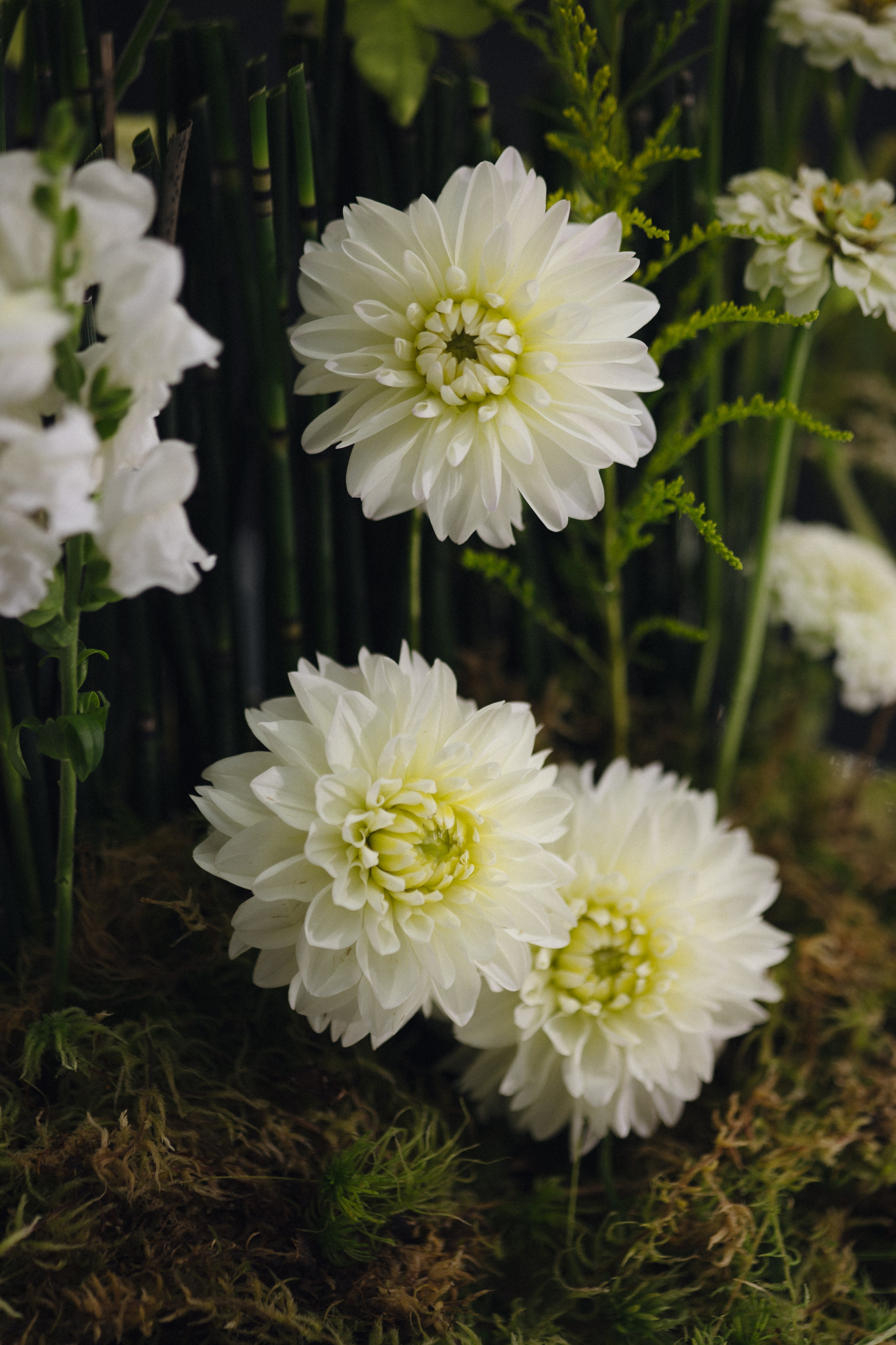 Ксения & Игорь. Оформление свадеб, декор свадеб Вера Маркова, Москва