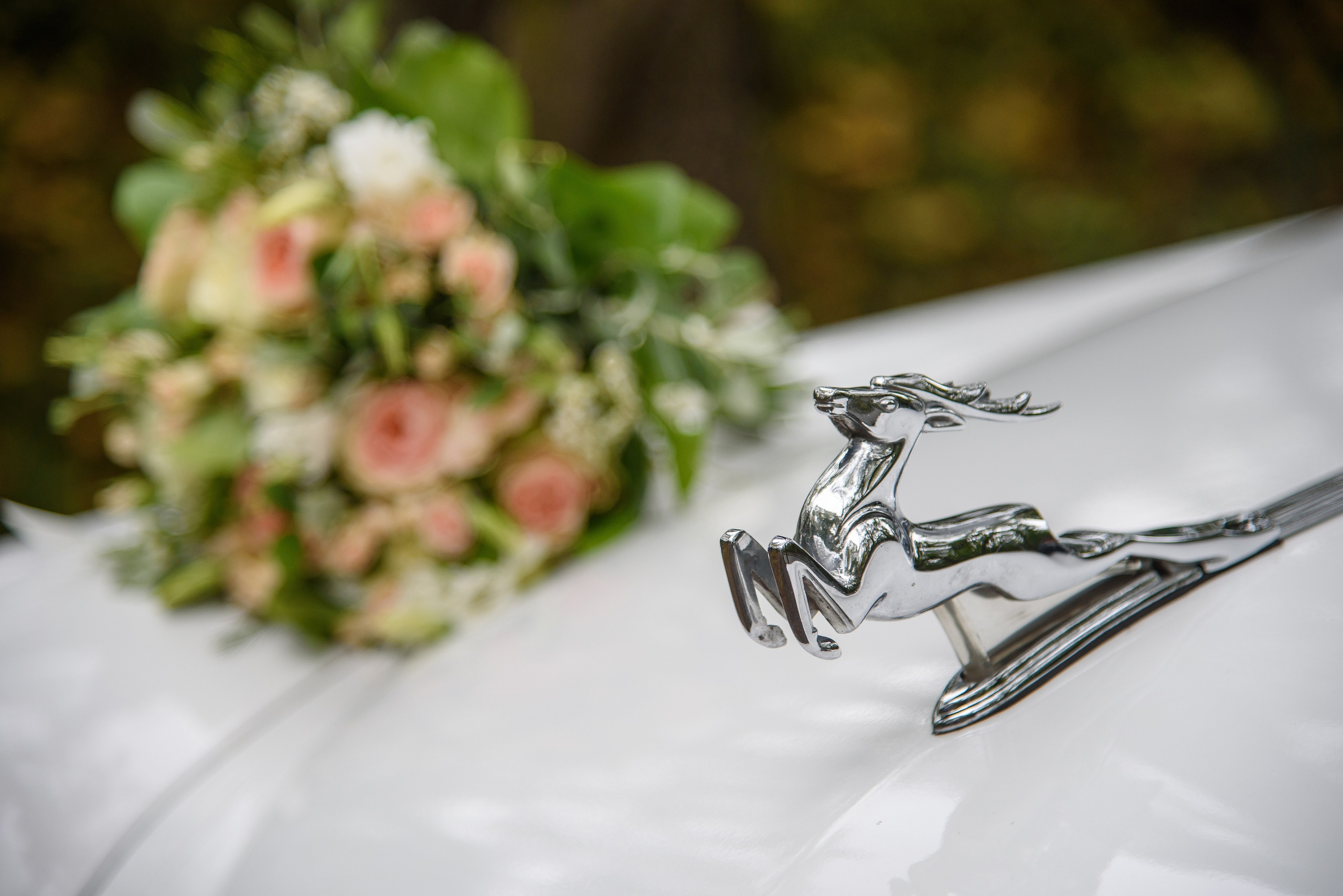 Свадебные съёмки. Главная