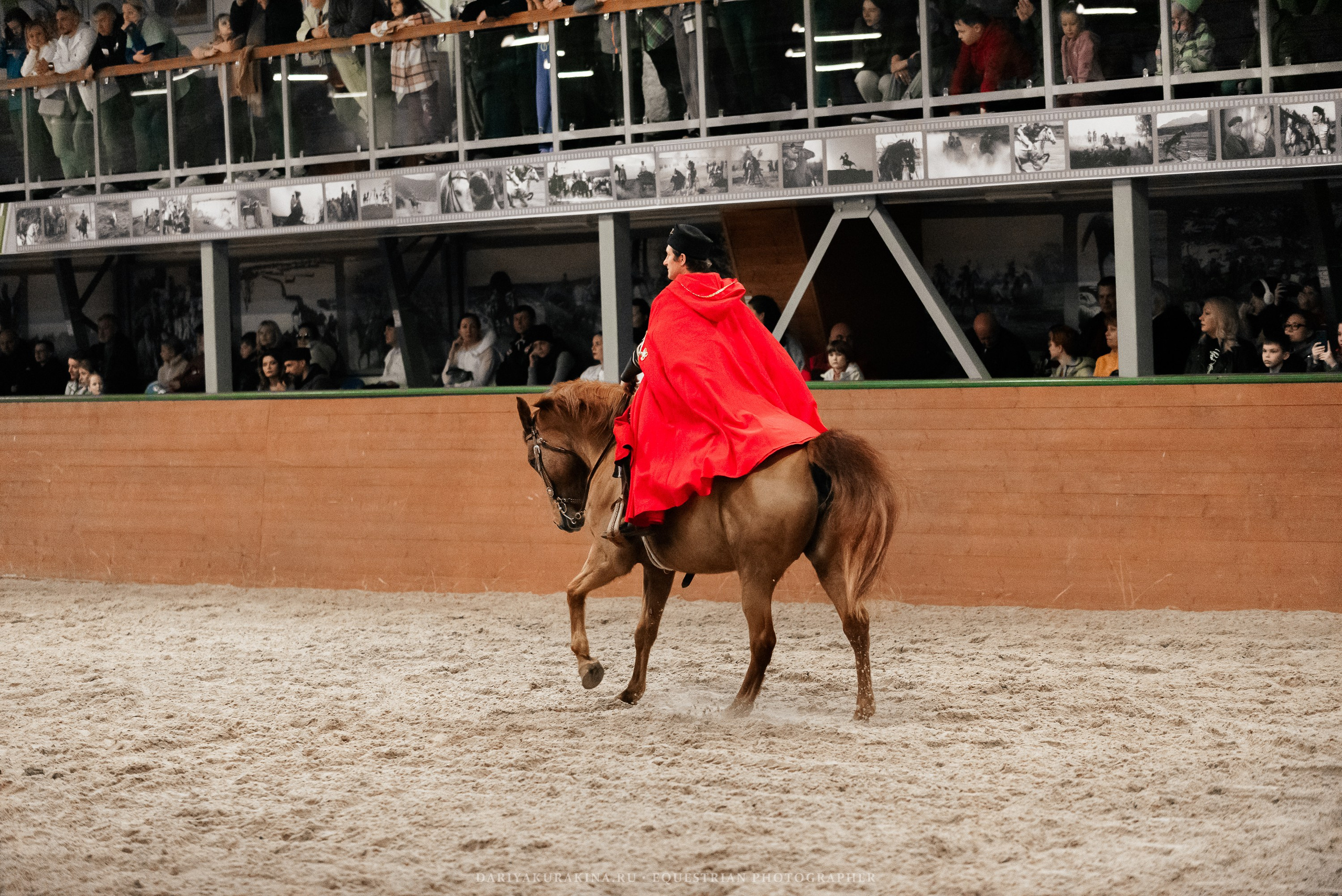 Конное представление «Дыхание Звёзд». Конный фотограф Куракина Дарья • Фотосессии с лошадьми