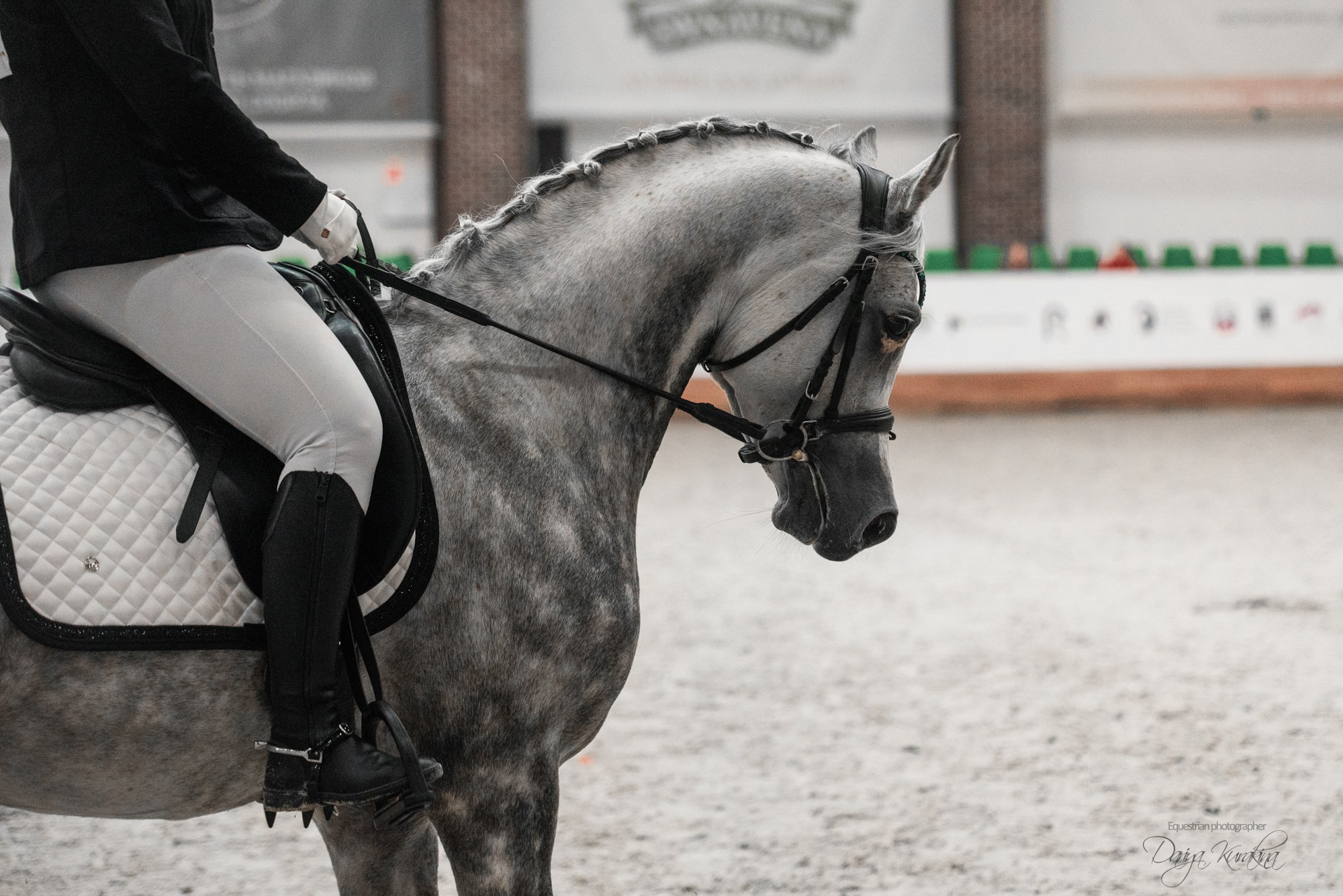 8-я международная выставка Конная Россия. Конный фотограф Куракина Дарья • Фотосессии с лошадьми