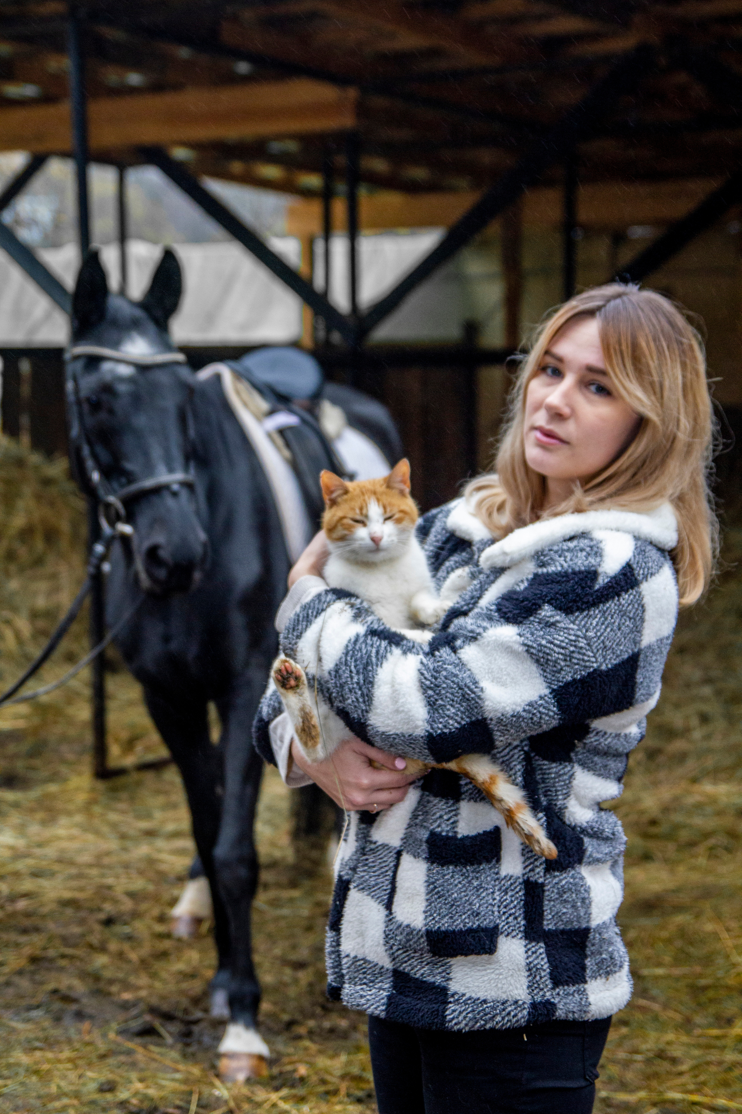 Фотосессии с лошадью. Репортажный, Event фотограф в Санкт-Петербурге и ЛО Морозов Дмитрий